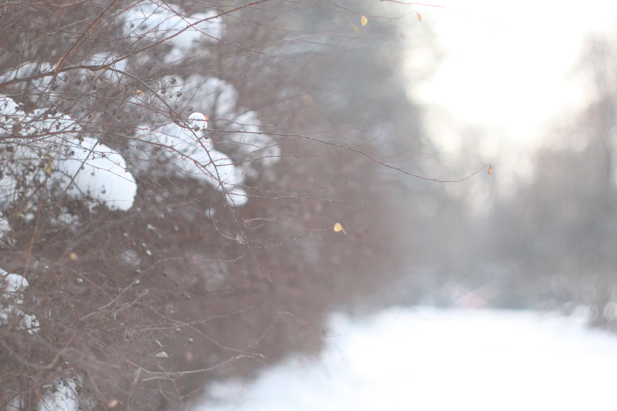 Canon EF 35-80mm f/4-5.6 sample photo. Winter is charming nevertheless photography