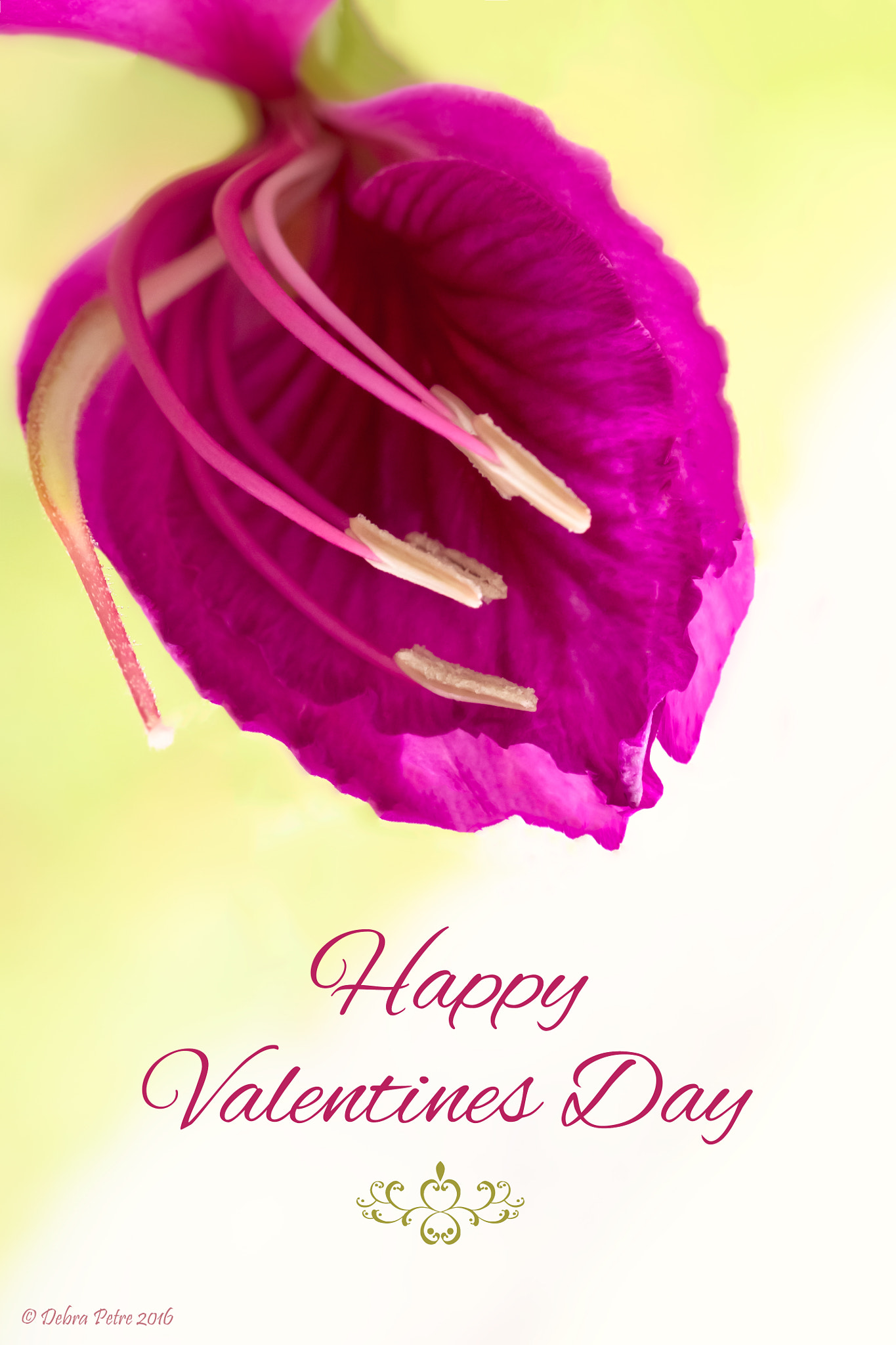 Tamron SP AF 60mm F2 Di II LD IF Macro sample photo. Happy valentine's photography