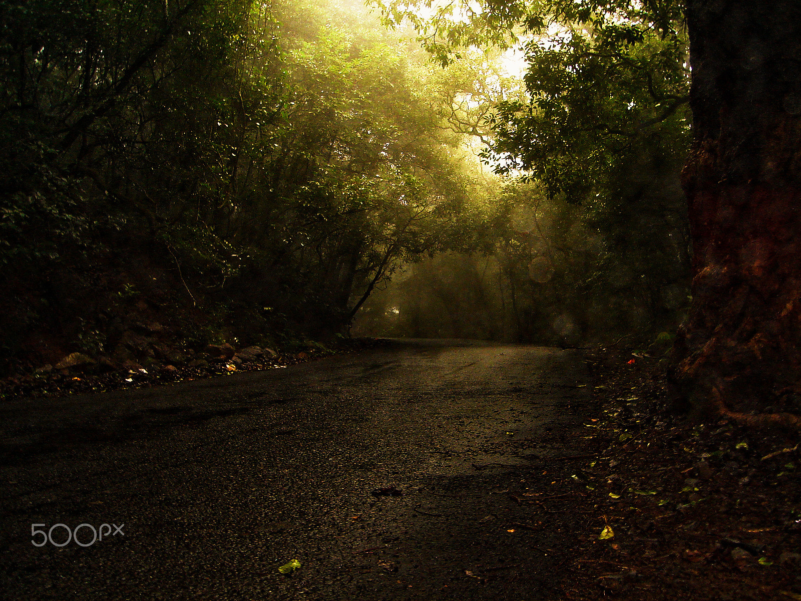 Sony DSC-S40 sample photo. Morning light photography
