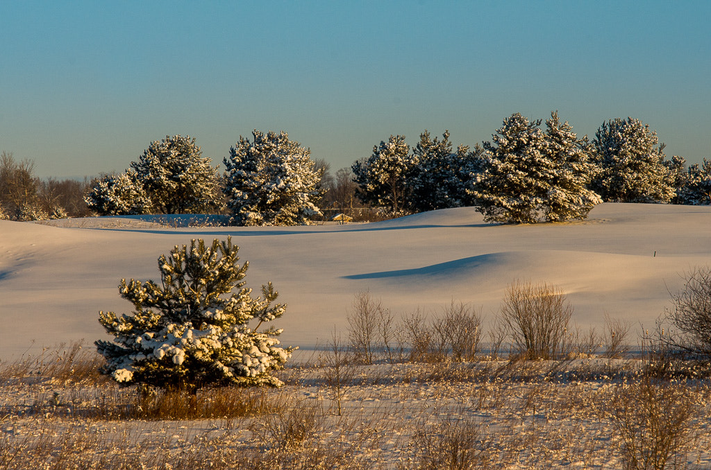 Sigma 70-200mm F2.8 EX DG Macro HSM II sample photo. Cold wintery morning photography