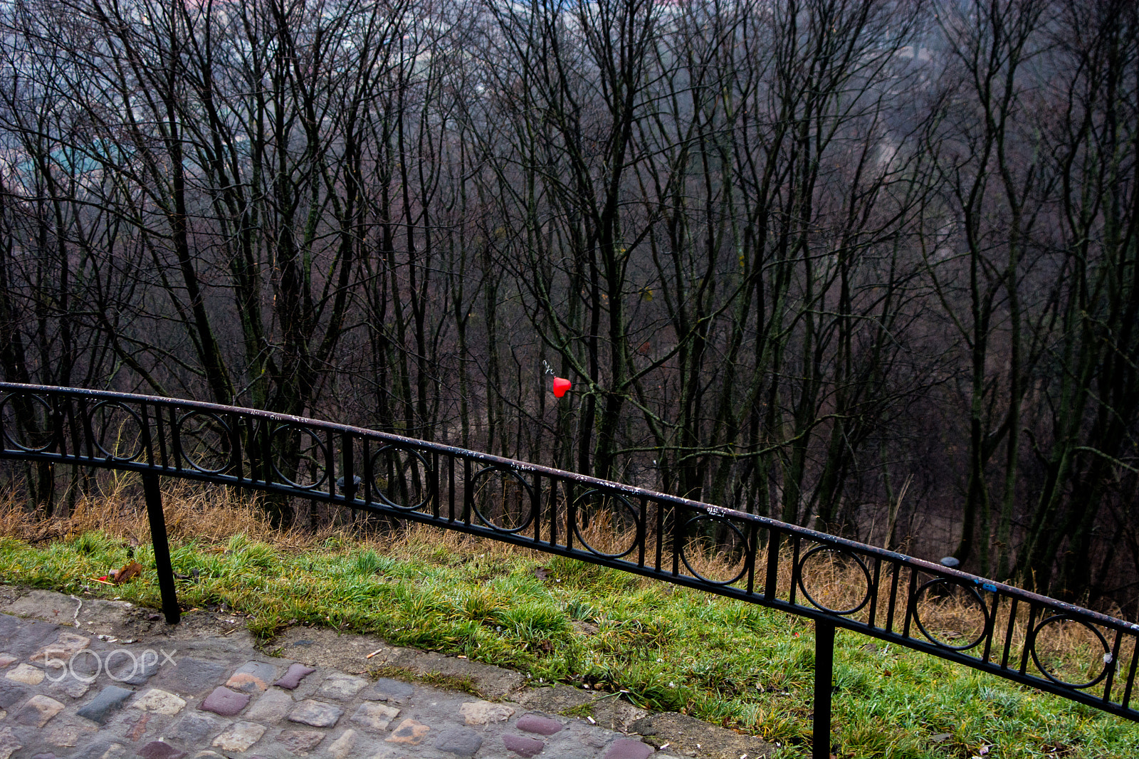 AF Zoom-Nikkor 35-80mm f/4-5.6D N sample photo. Love is in the air photography