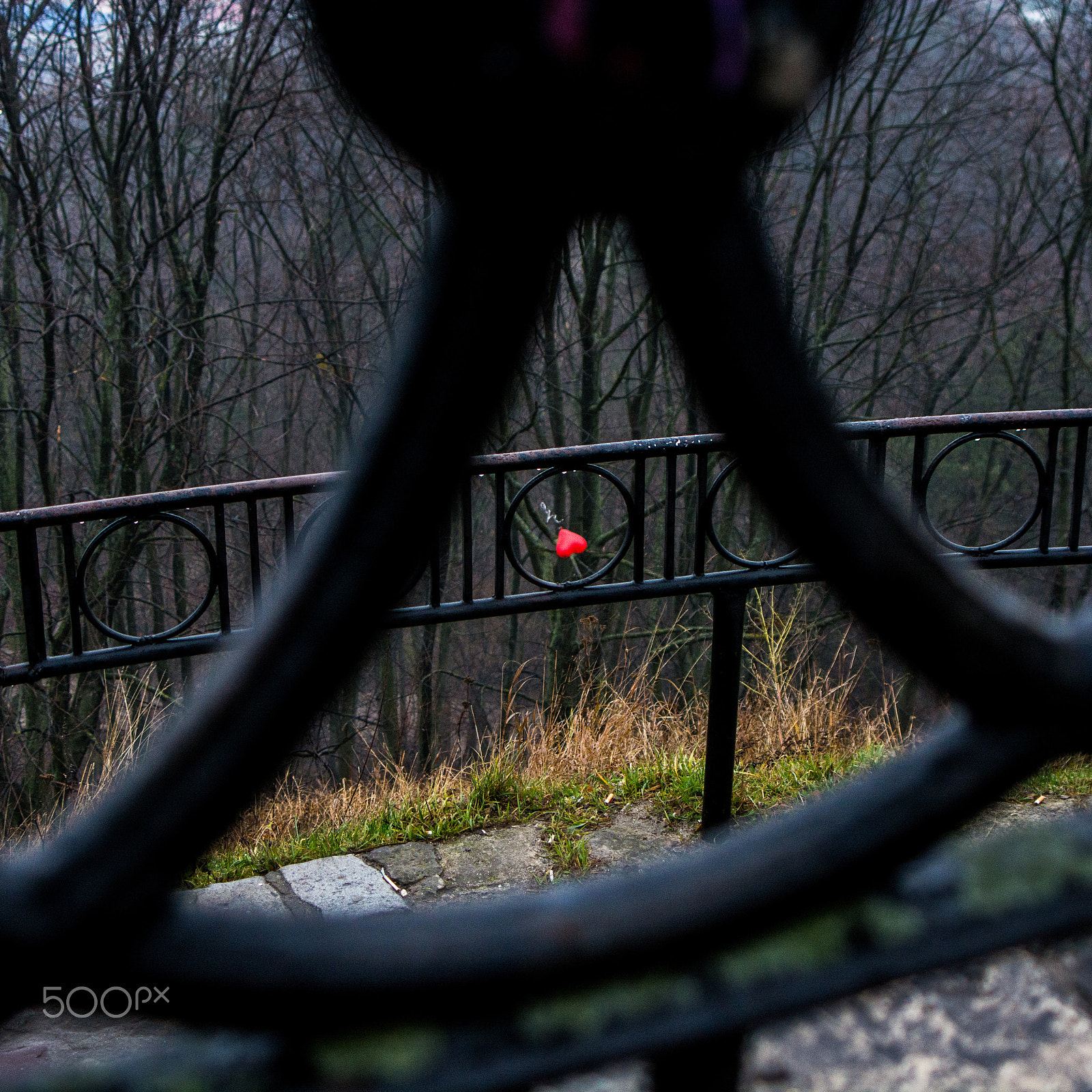 AF Zoom-Nikkor 35-80mm f/4-5.6D N sample photo. Love is in the air photography