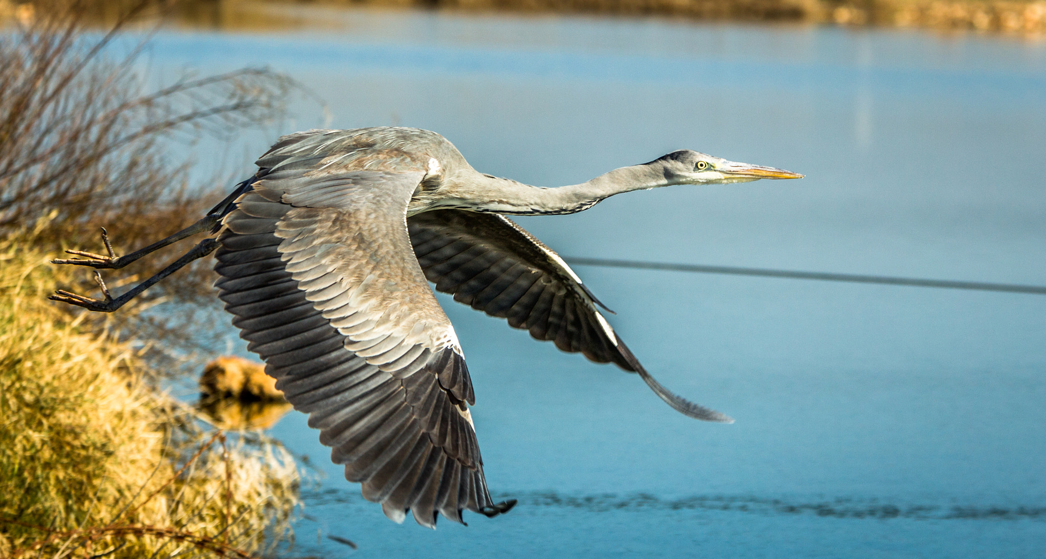 Canon EF 70-200mm F2.8L IS USM sample photo