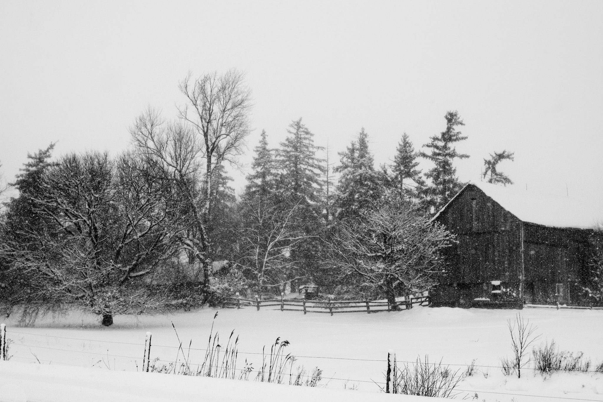 Nikon D7100 + Nikon AF Nikkor 35mm F2D sample photo. Winter storm photography