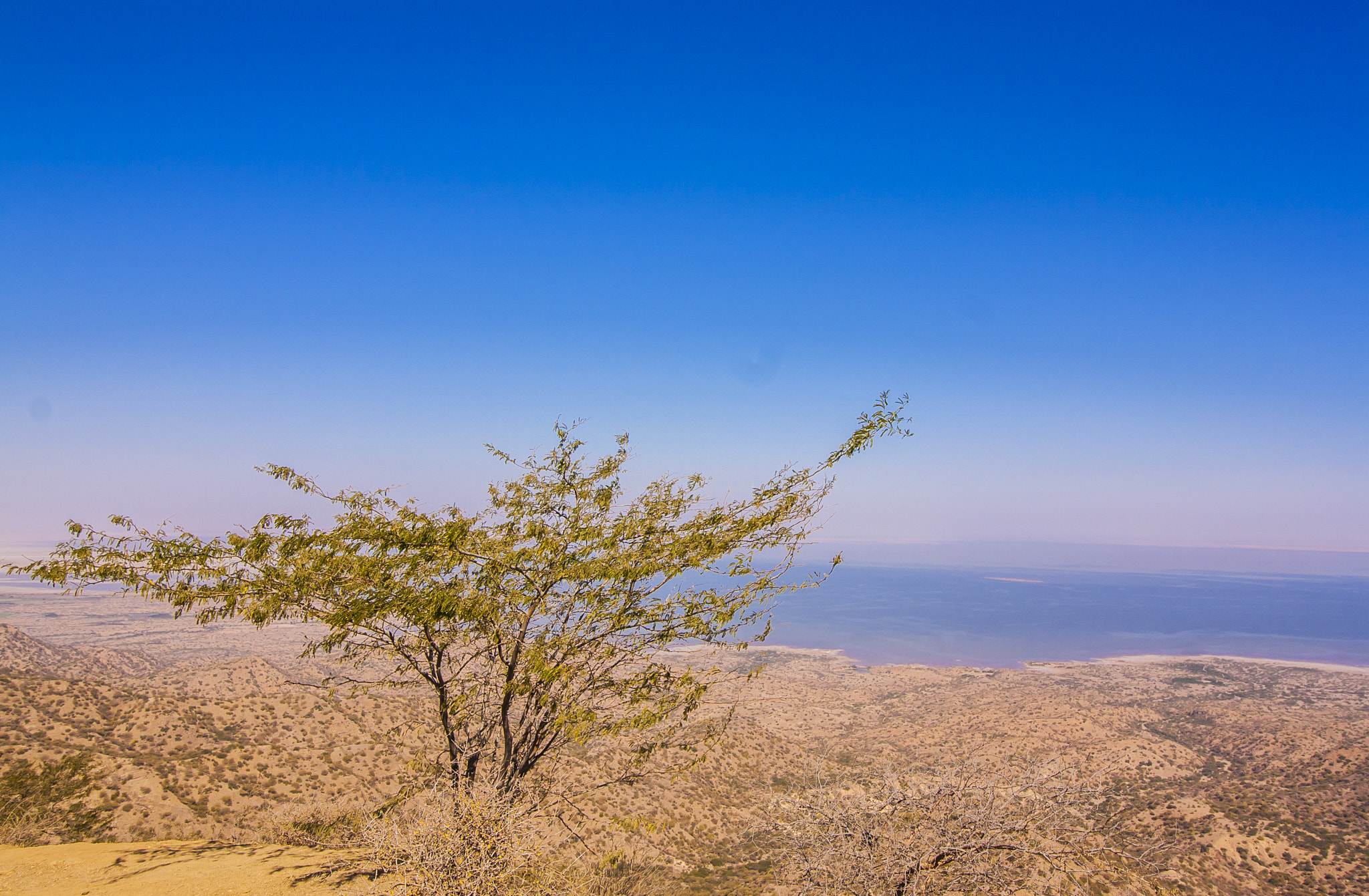 Canon EF-S 10-18mm F4.5–5.6 IS STM sample photo. Kala dungar photography
