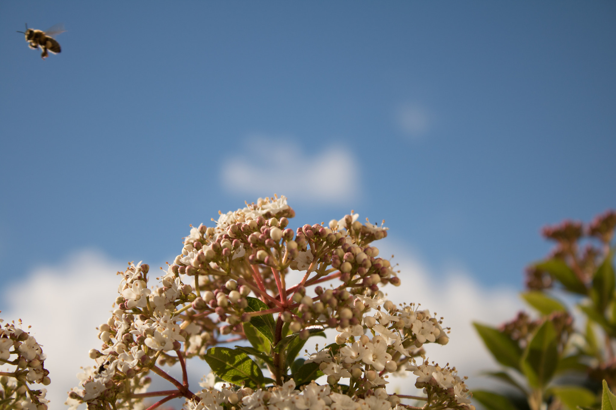 Canon EOS 760D (EOS Rebel T6s / EOS 8000D) sample photo. Patrice photography