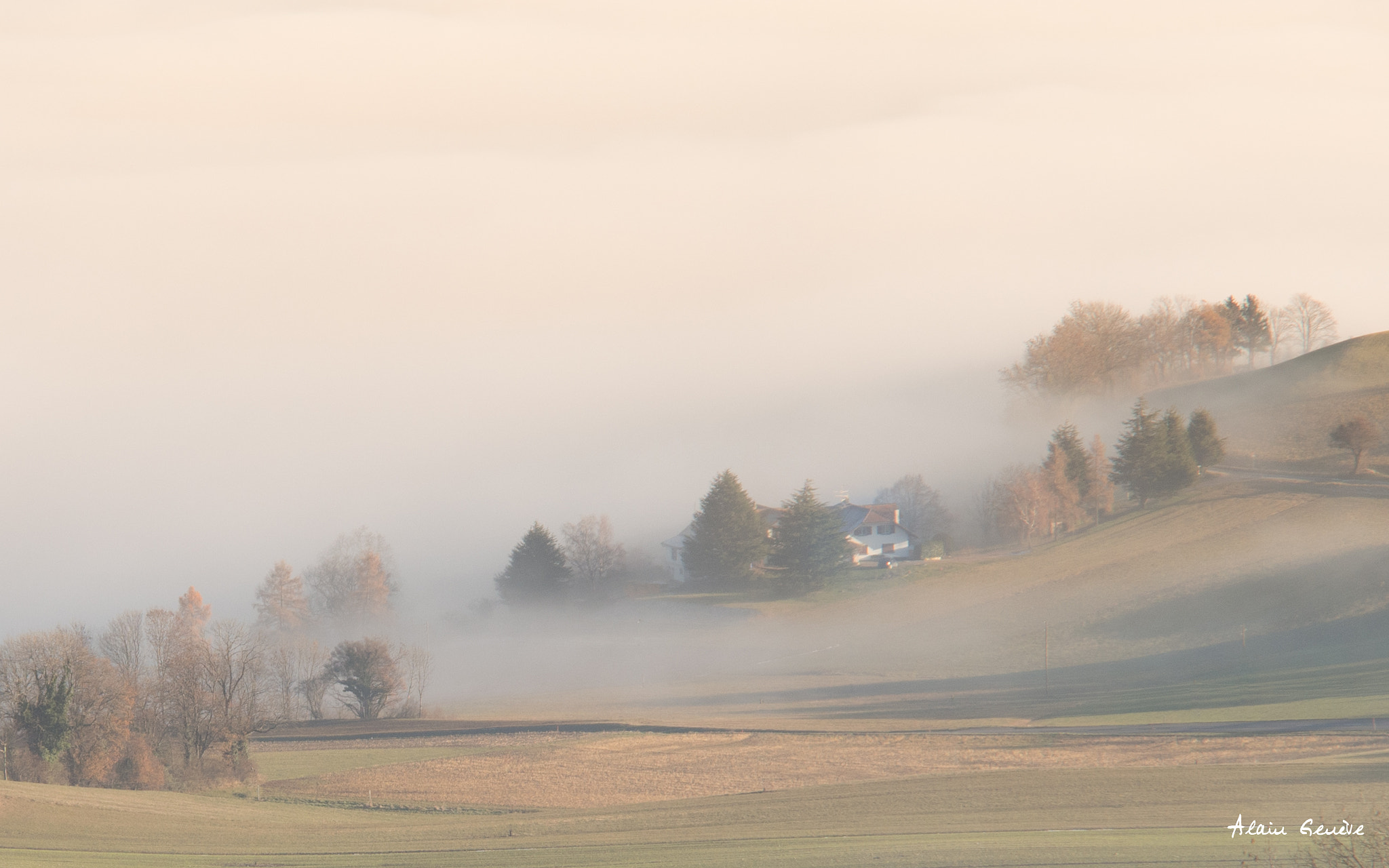 Olympus OM-D E-M5 sample photo. Brume photography