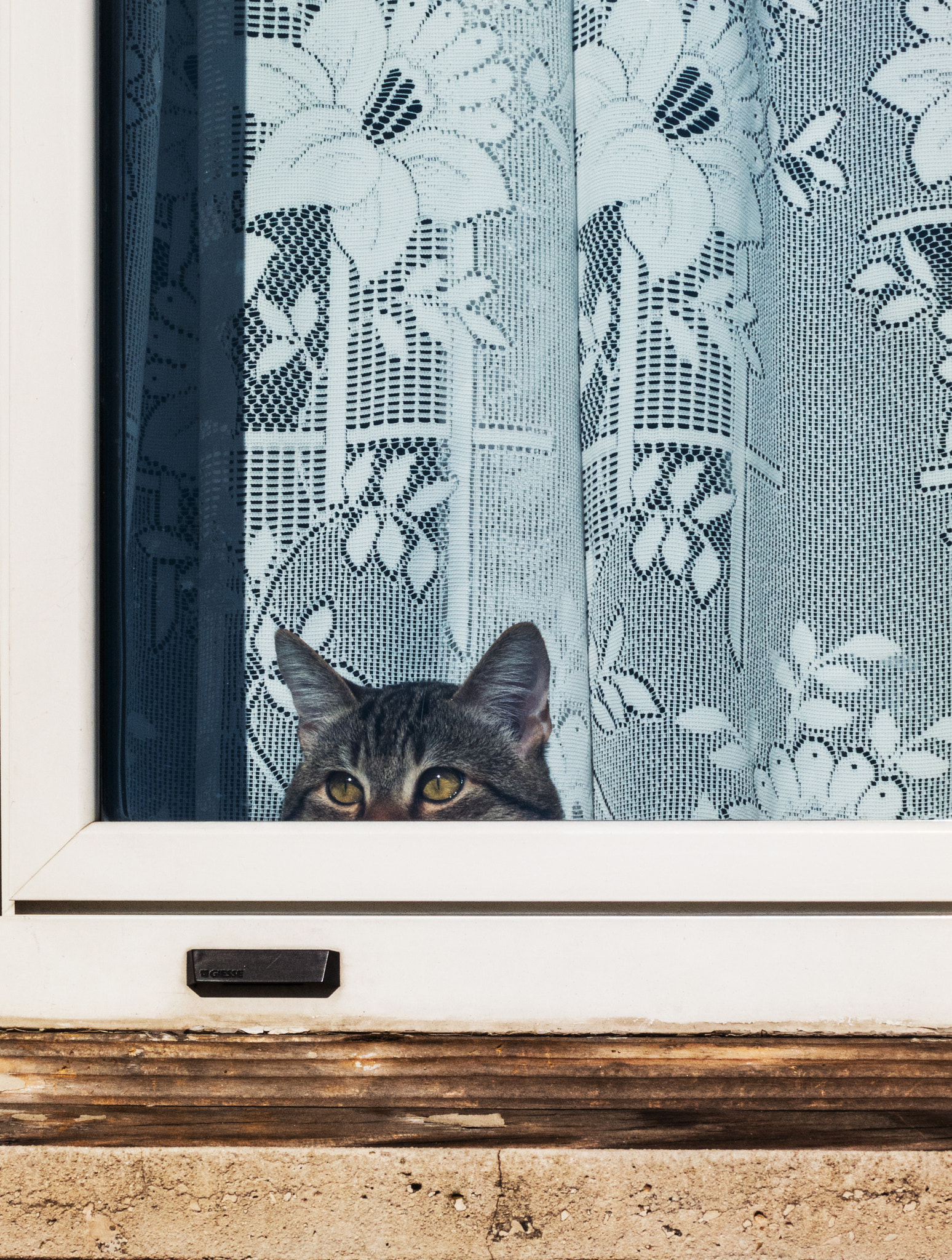 Curiosity.....