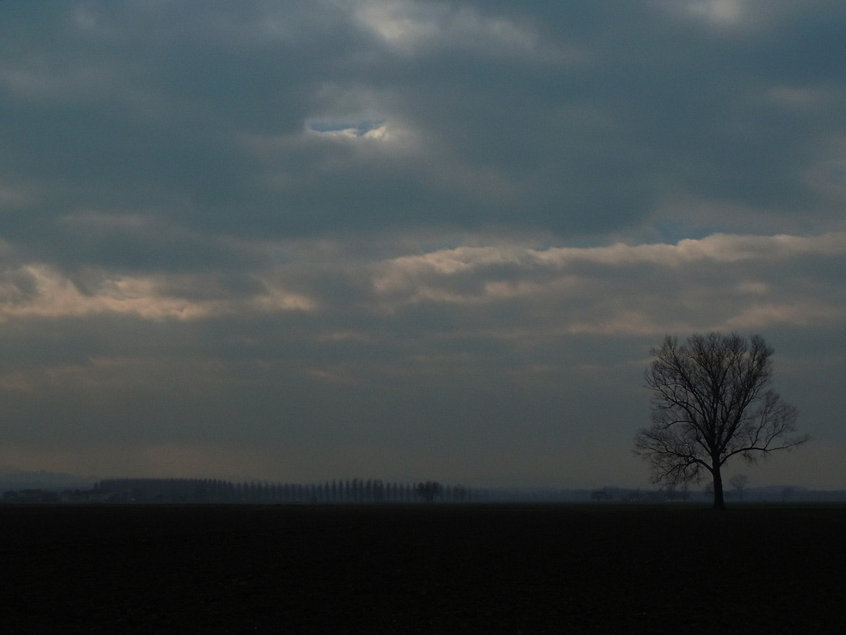 Nikon Coolpix S6000 sample photo. Winter afternoon photography