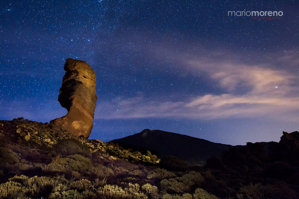 Canon EOS-1D Mark IV sample photo. Roque cinchado photography