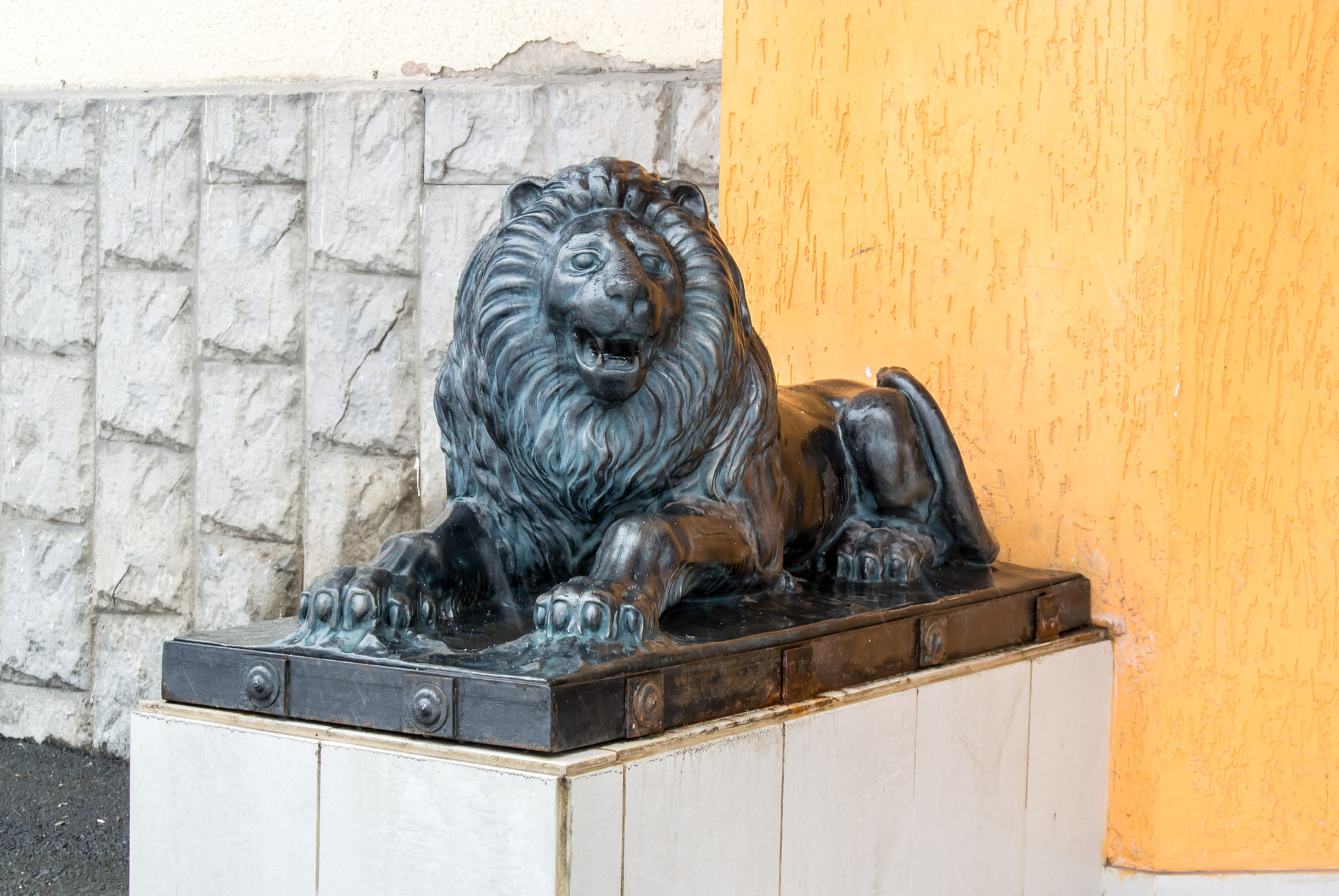 Nikon 1 Nikkor 11-27.5mm F3.5-5.6 sample photo. Black lion photography