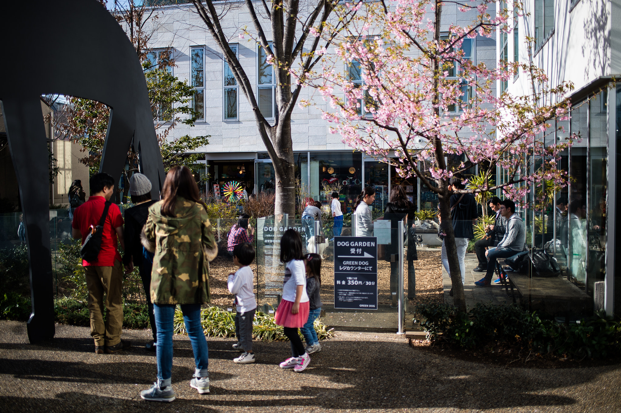 Nikon Df + AF-S Nikkor 35mm f/1.8G sample photo. Spring has come photography