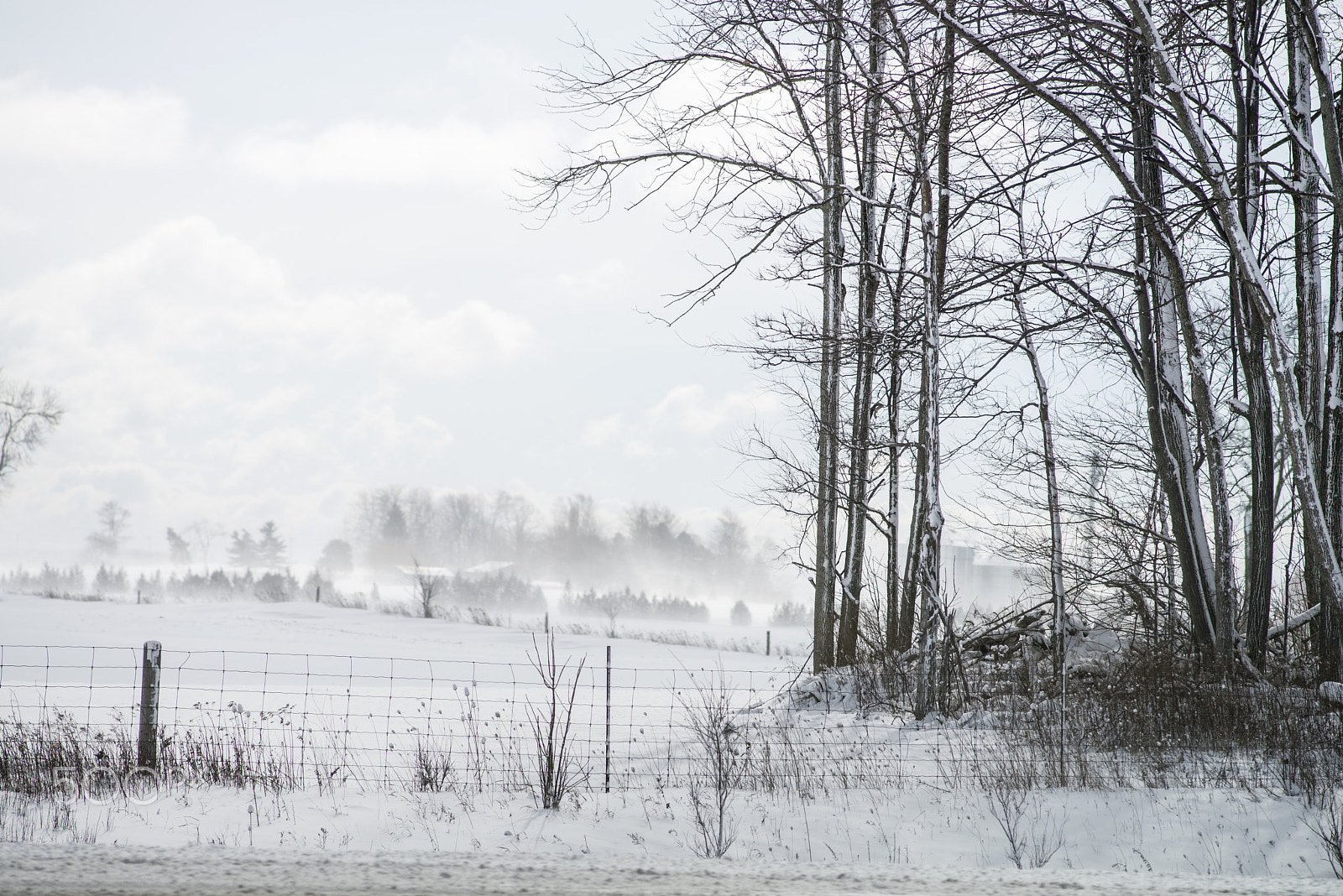 Nikon D600 + Nikon AF Nikkor 180mm F2.8D ED-IF sample photo. Winter countryside.jpg photography