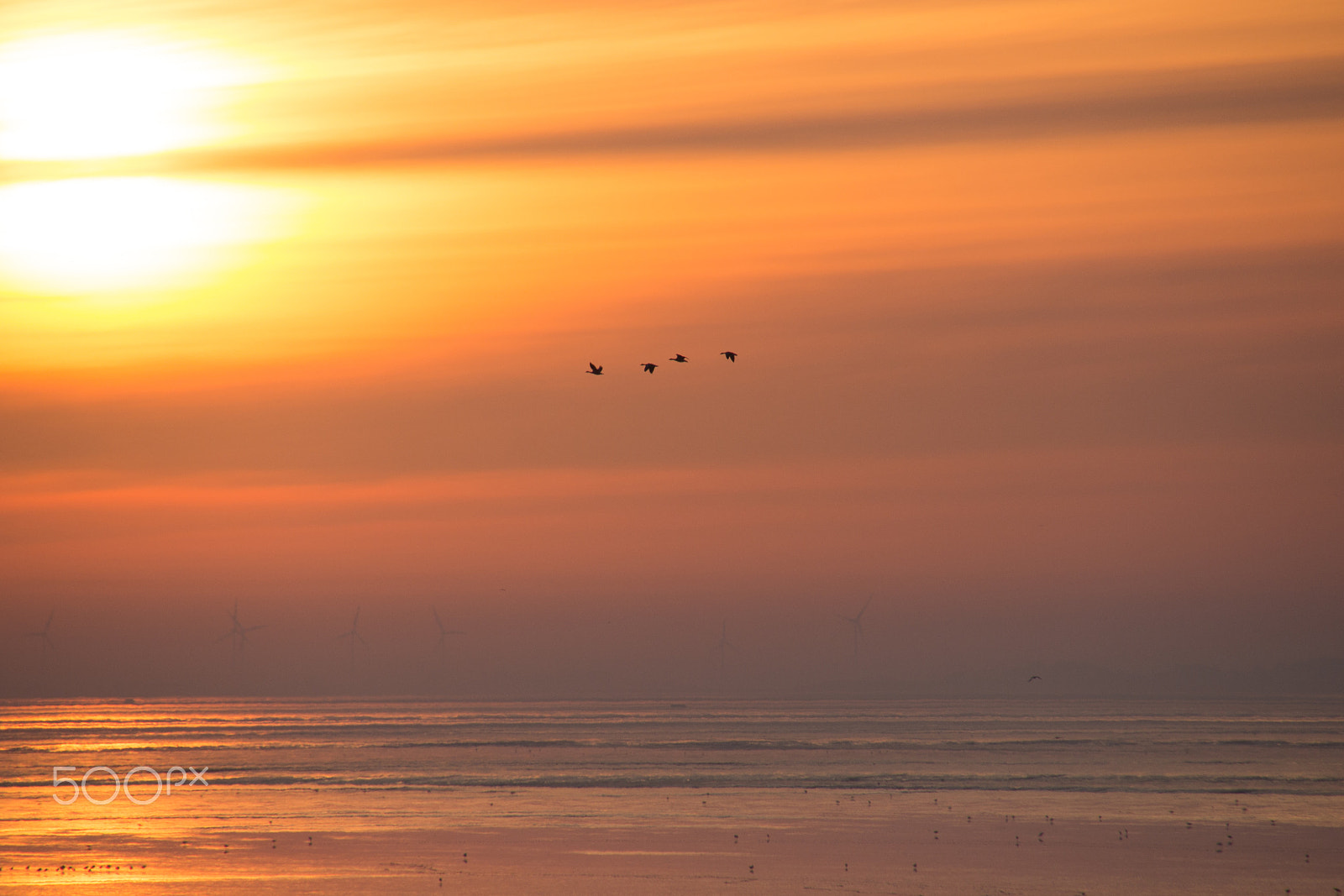 Tamron 16-300mm F3.5-6.3 Di II VC PZD Macro sample photo. Sunrise... again. photography