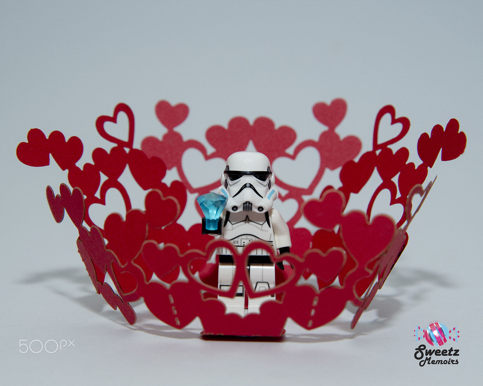 Nikon D750 + Sigma 24-60mm F2.8 EX DG sample photo. Be my valentine's photography