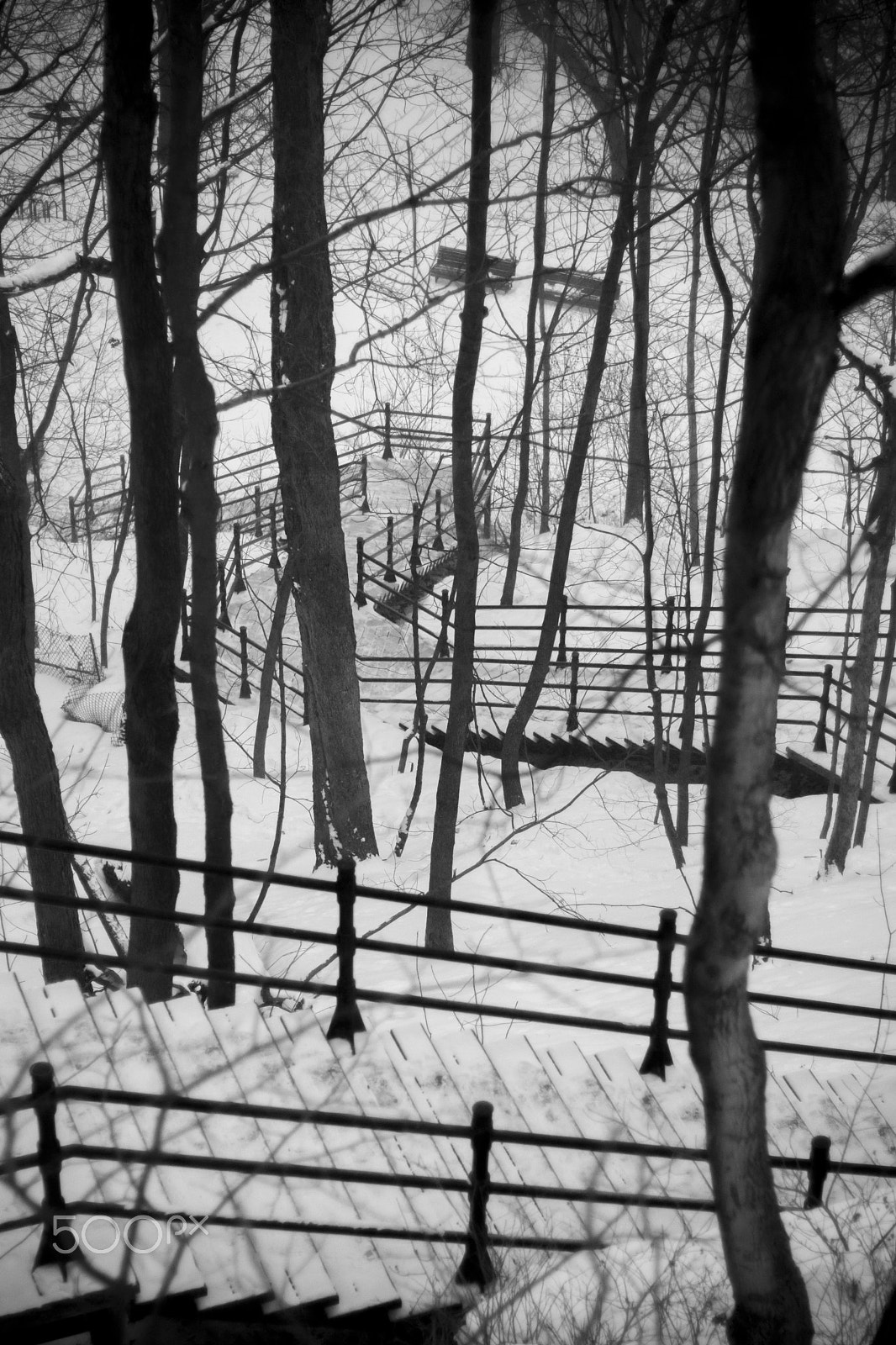 Sony SLT-A77 + Sony 50mm F1.4 sample photo. Road to chalet du mont-royal photography