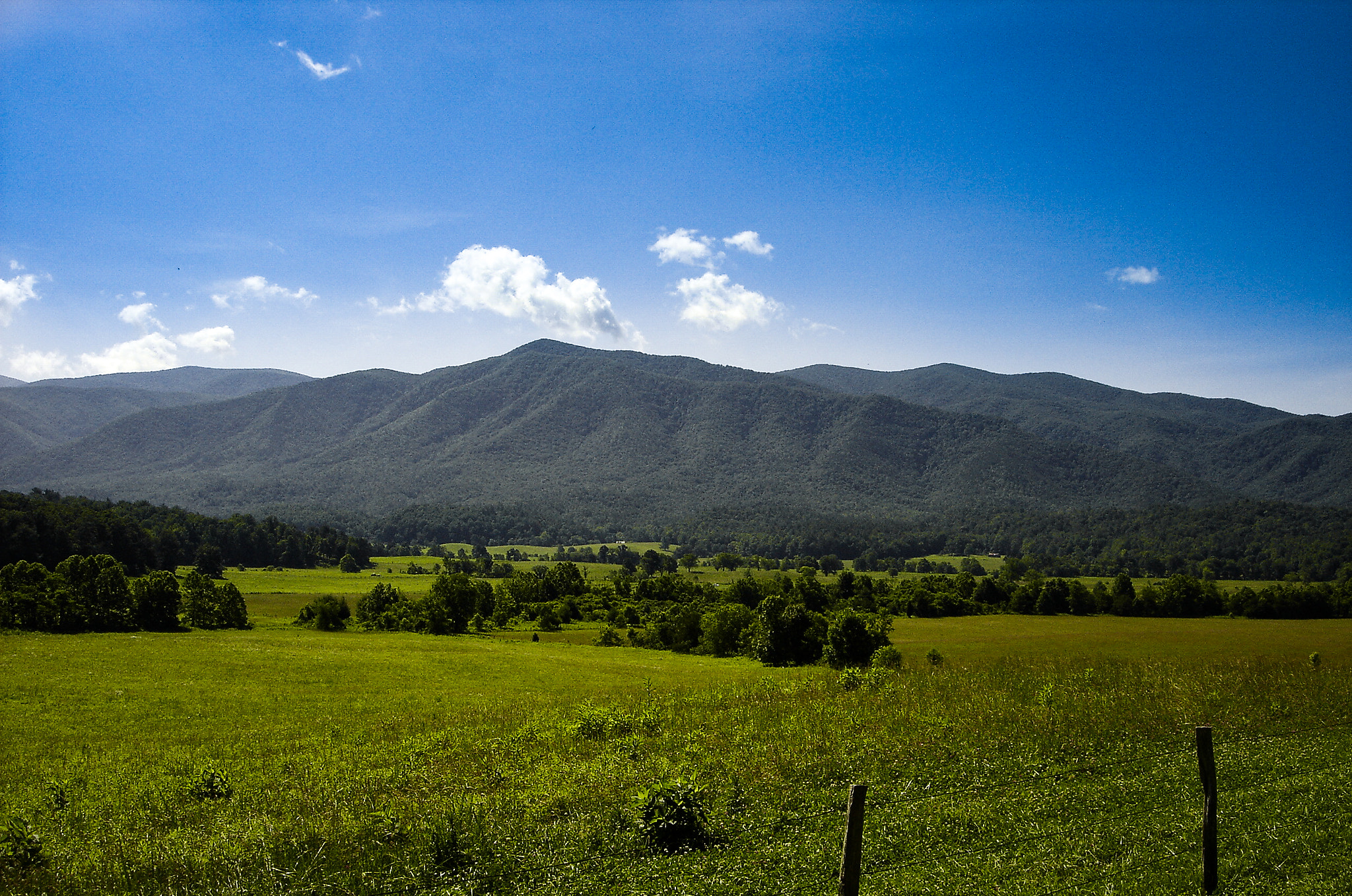 Sony DSC-P93A sample photo. Cade's cove photography