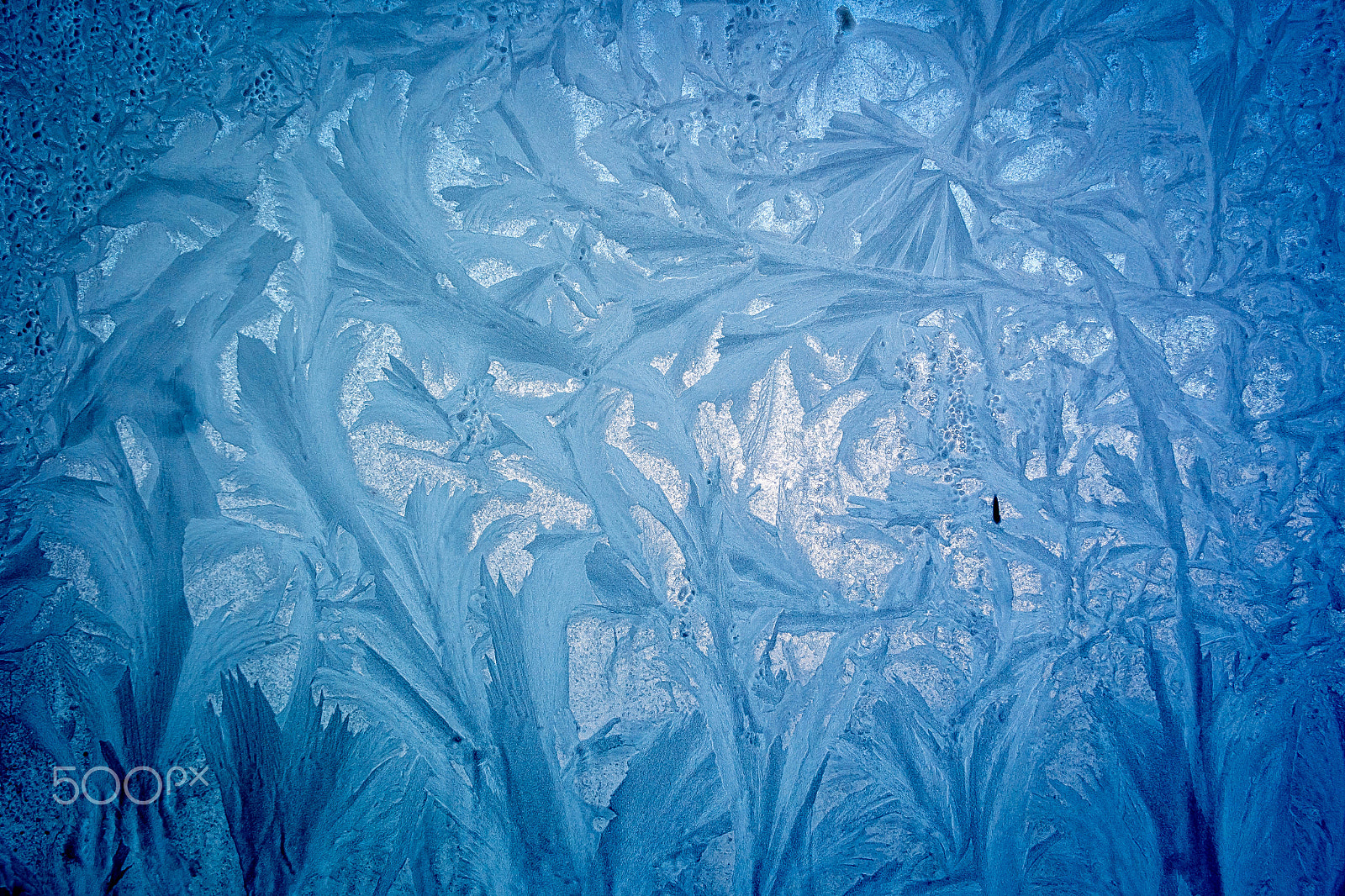 Samsung NX1000 + Samsung NX 16mm F2.4 Pancake sample photo. Frosted window - the garden photography