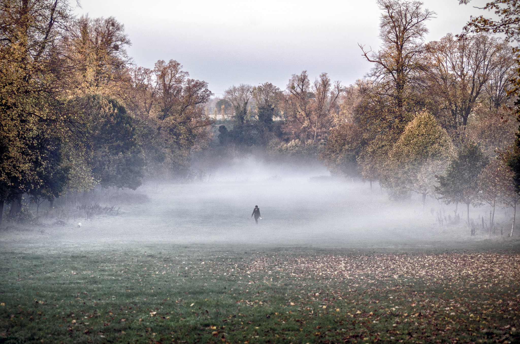 Nikon D7000 + AF Nikkor 70-210mm f/4-5.6D sample photo. The foggy field photography