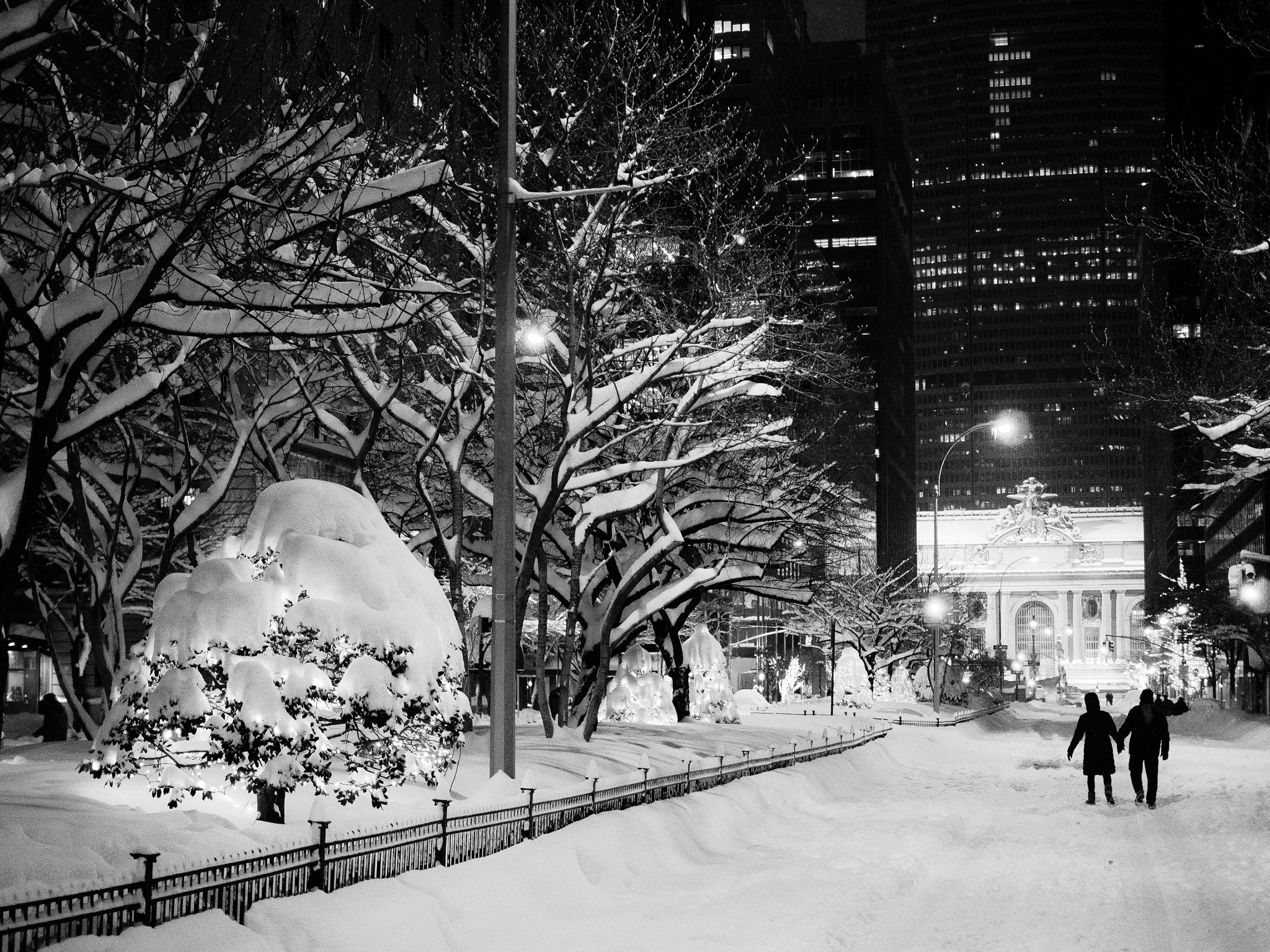 Olympus PEN E-PL6 + Olympus M.Zuiko Digital 25mm F1.8 sample photo. Snowy park avenue photography