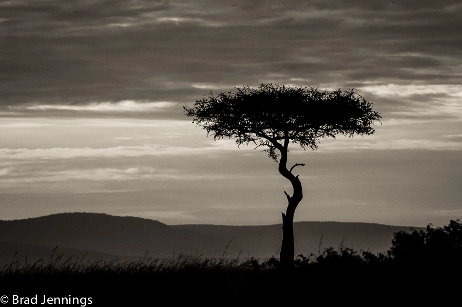 Nikon AF-S Nikkor 200-400mm F4G ED-IF VR sample photo. Mara silhoutte photography