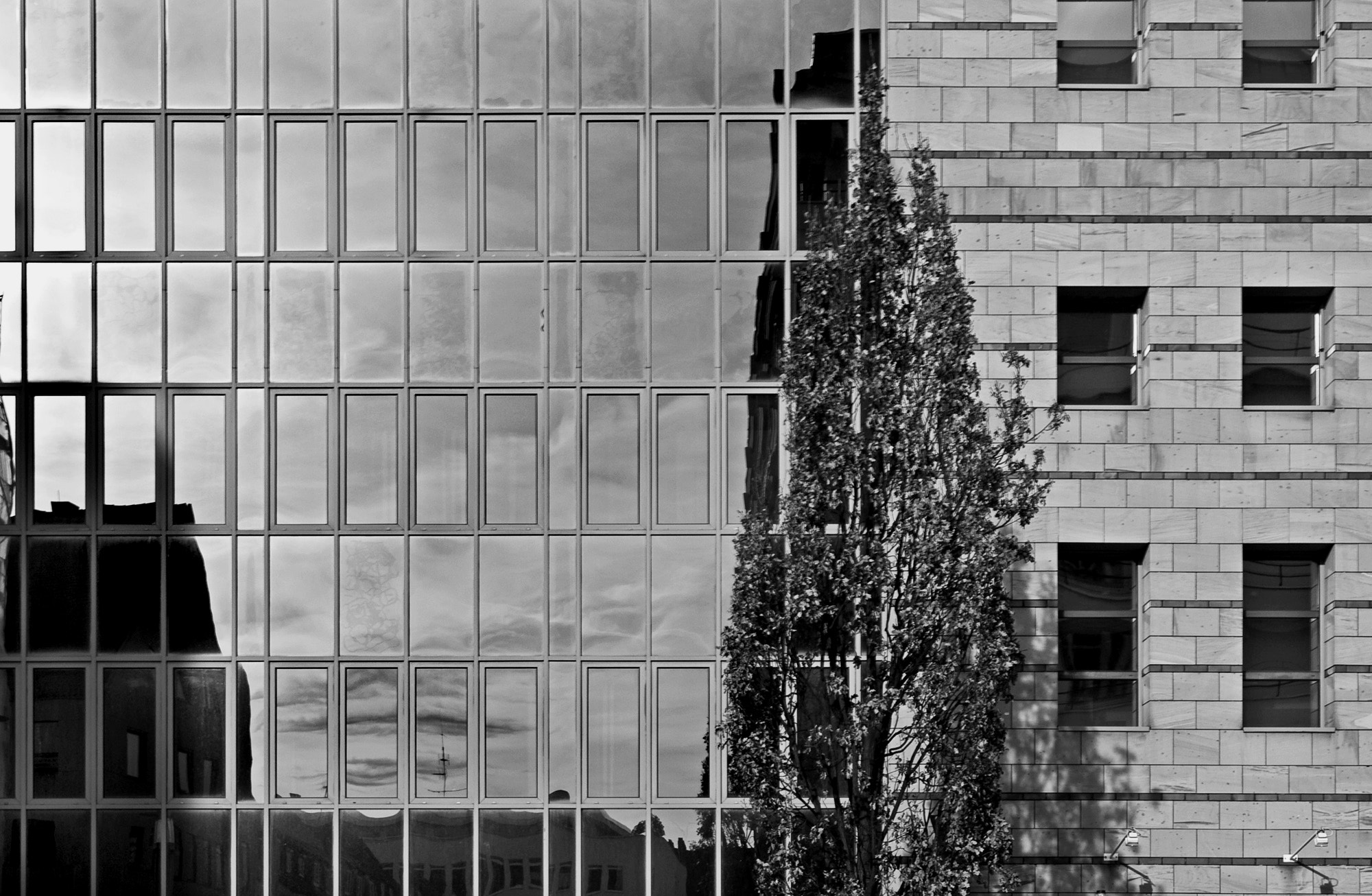 Olympus E-620 (EVOLT E-620) sample photo. Glass, concrete and tree photography