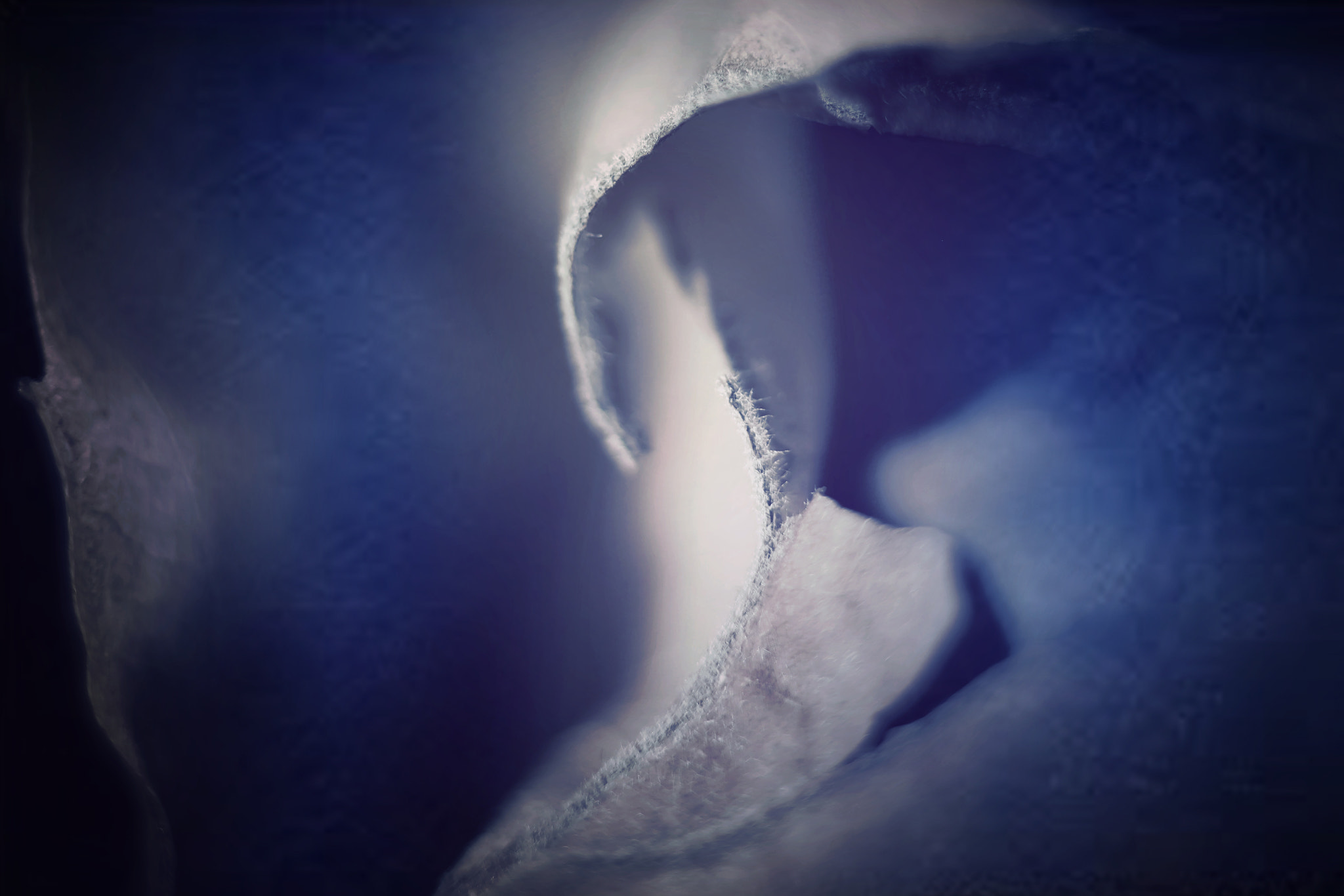 Canon EF 50mm F2.5 Macro sample photo. Blue savannah song photography