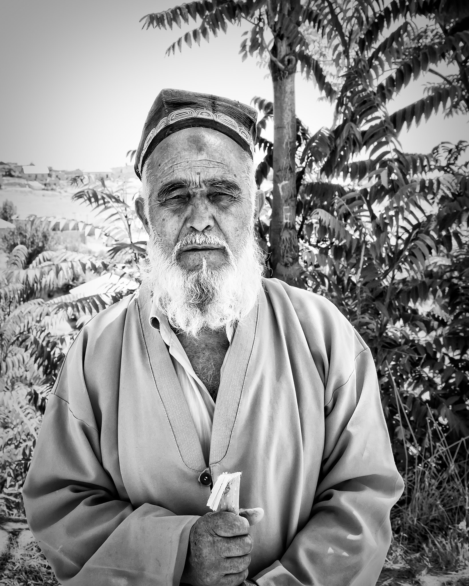 Canon EOS 500D (EOS Rebel T1i / EOS Kiss X3) sample photo. Tajik photography