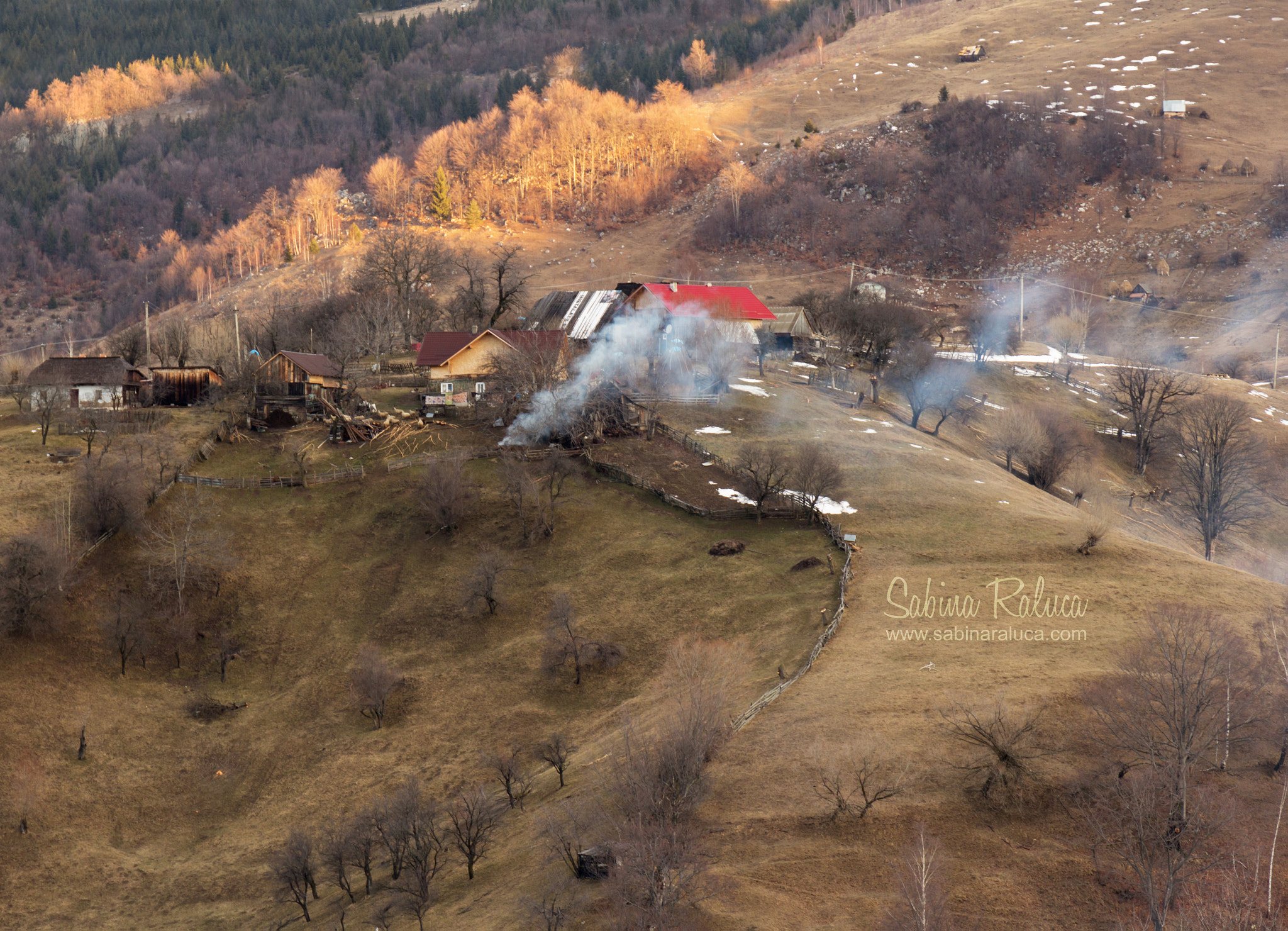 Canon EF 24-105mm F3.5-5.6 IS STM sample photo. Smoky horns in the morning photography