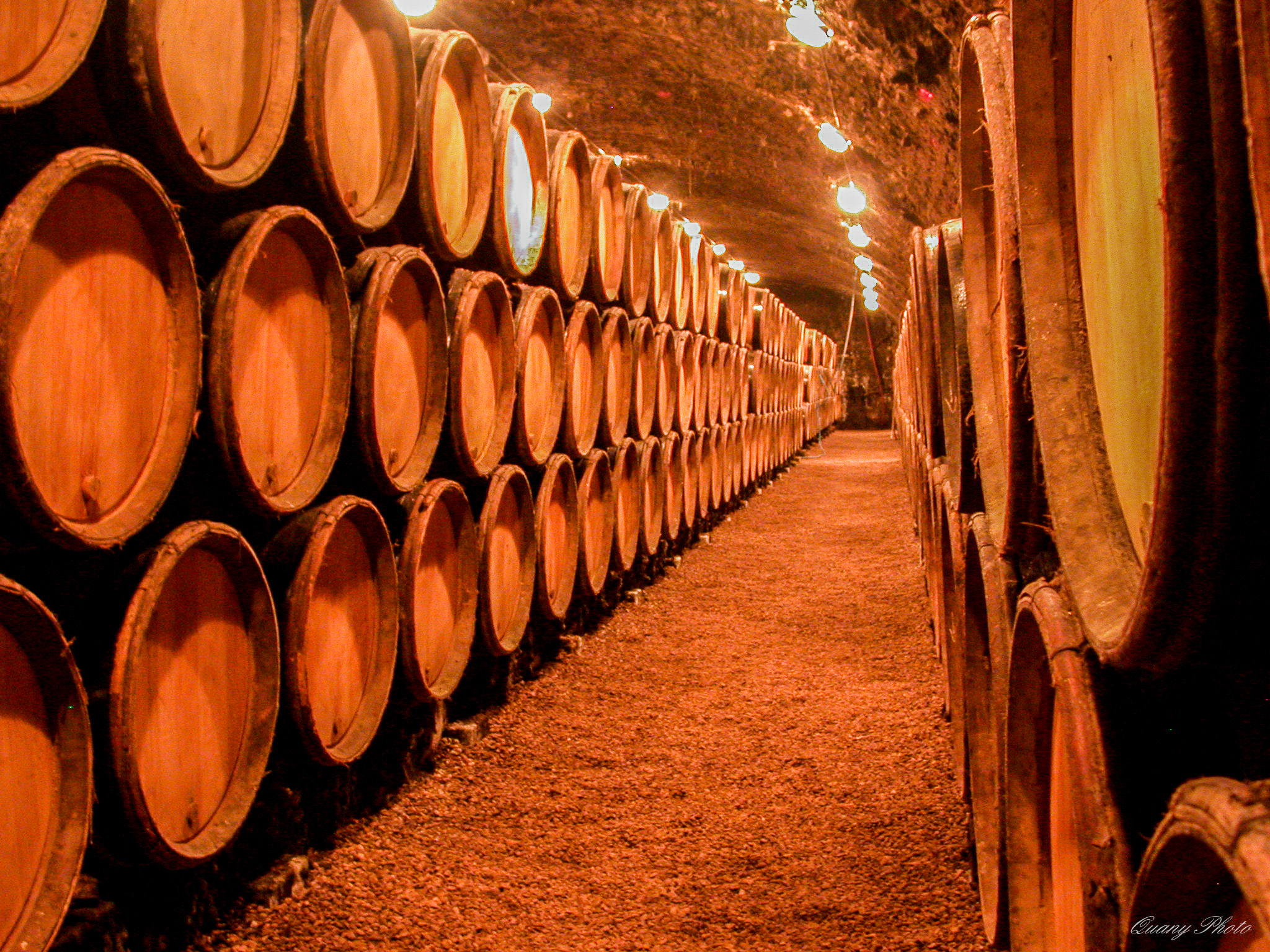 Nikon E995 sample photo. Bourgogne cave photography