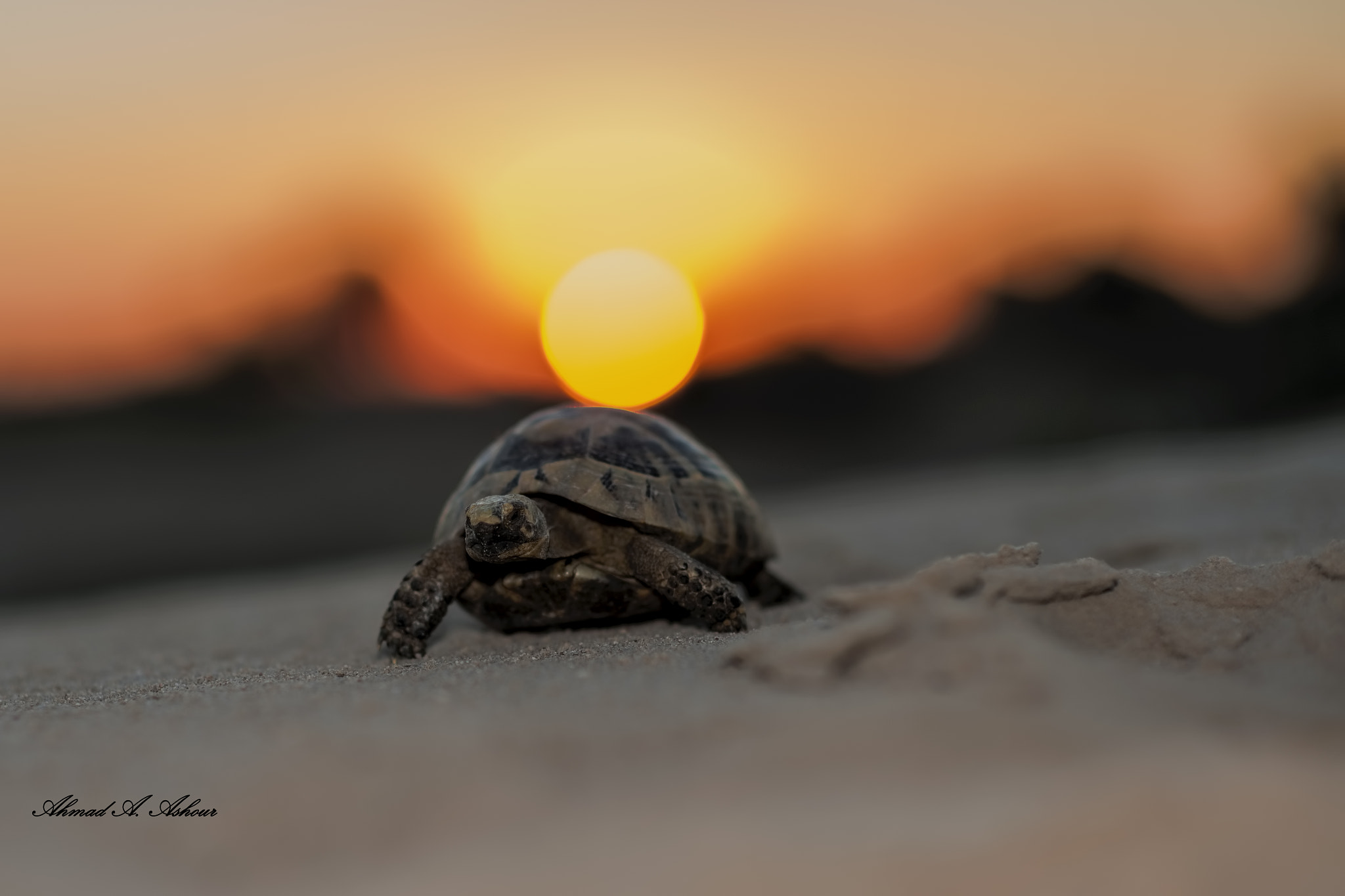 Nikon D3X + Sigma 85mm F1.4 EX DG HSM sample photo. Slow sunset  photography