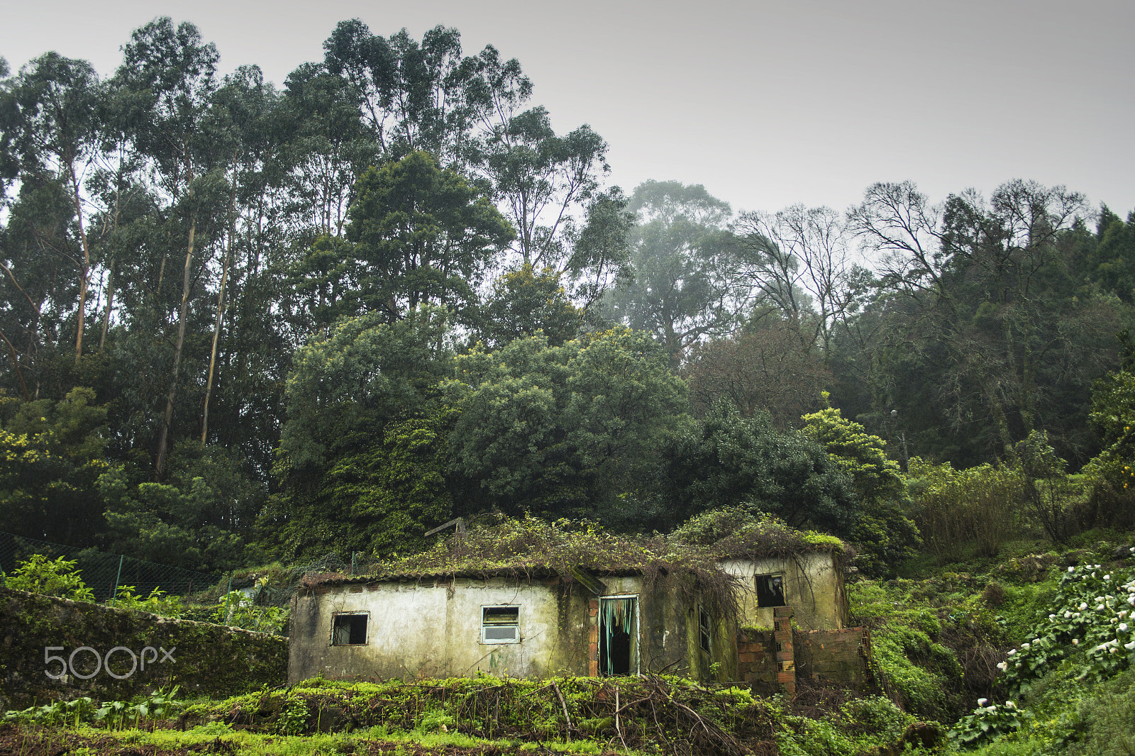 Canon EF-S 18-55mm F3.5-5.6 sample photo. All abandoned photography