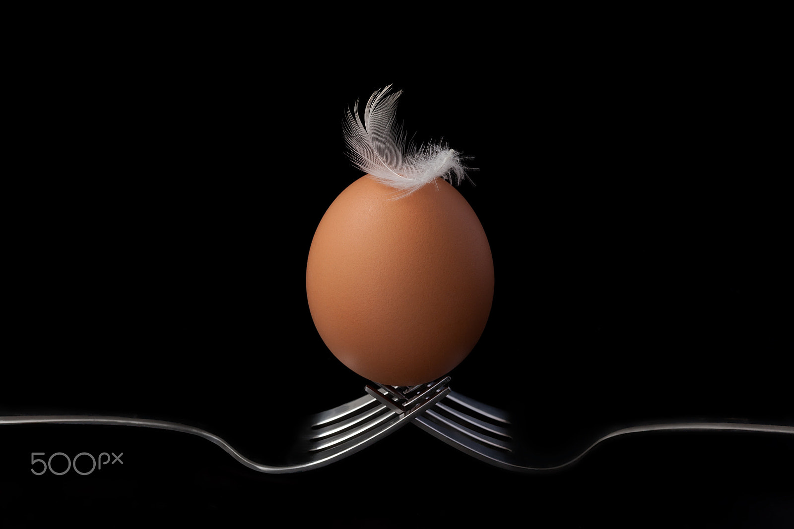 ZEISS Makro-Planar T* 100mm F2 sample photo. Chicken eggs on fork still life on black background photography