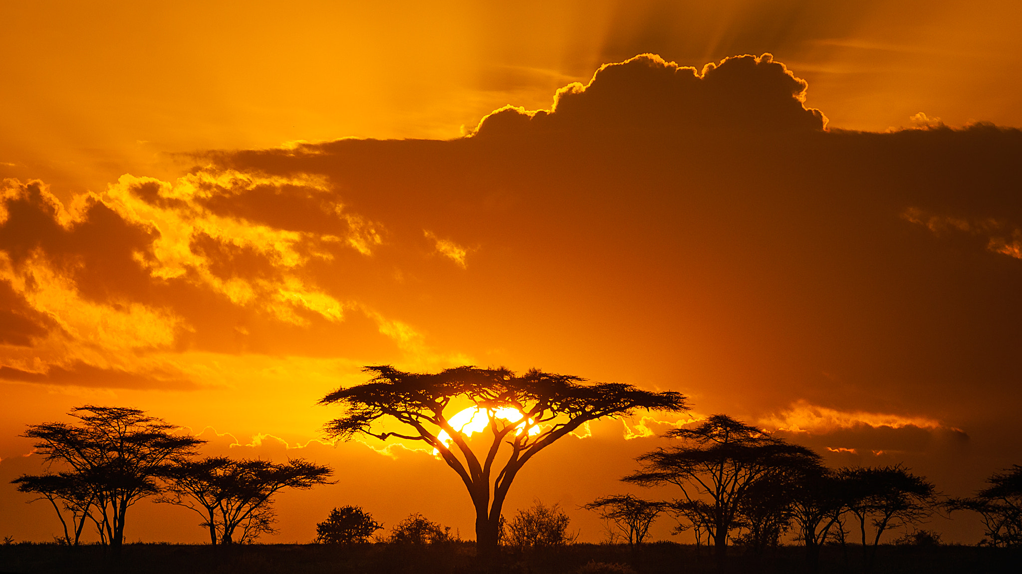 300mm F2.8 G sample photo. Tanzania atardecer photography