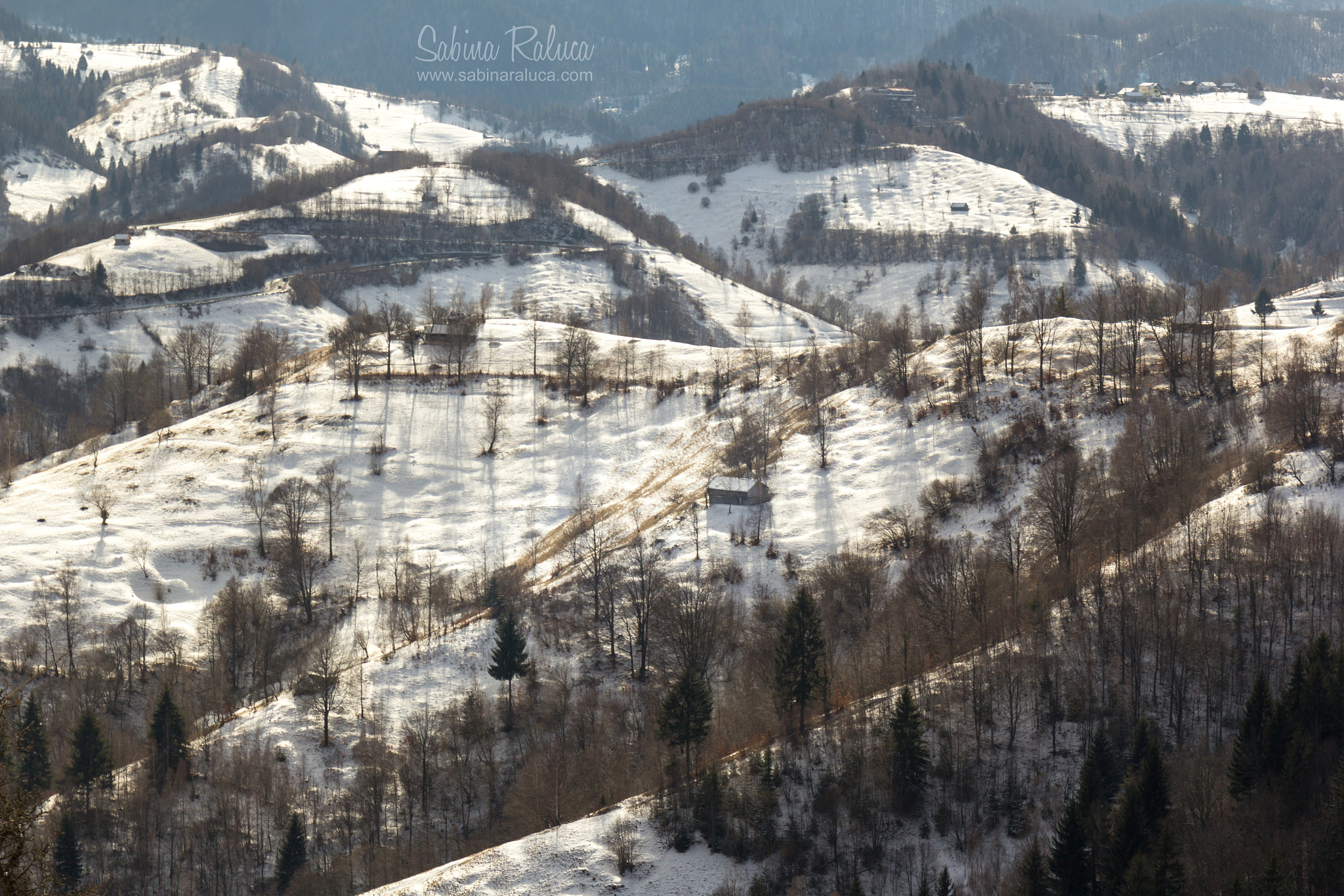 Canon EF 24-105mm F3.5-5.6 IS STM sample photo. Shadows in the sunset photography