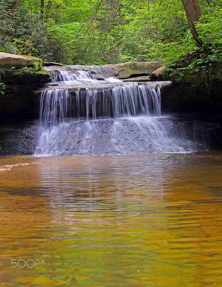 Creation Falls, Kentucky by Pam Callahan / 500px