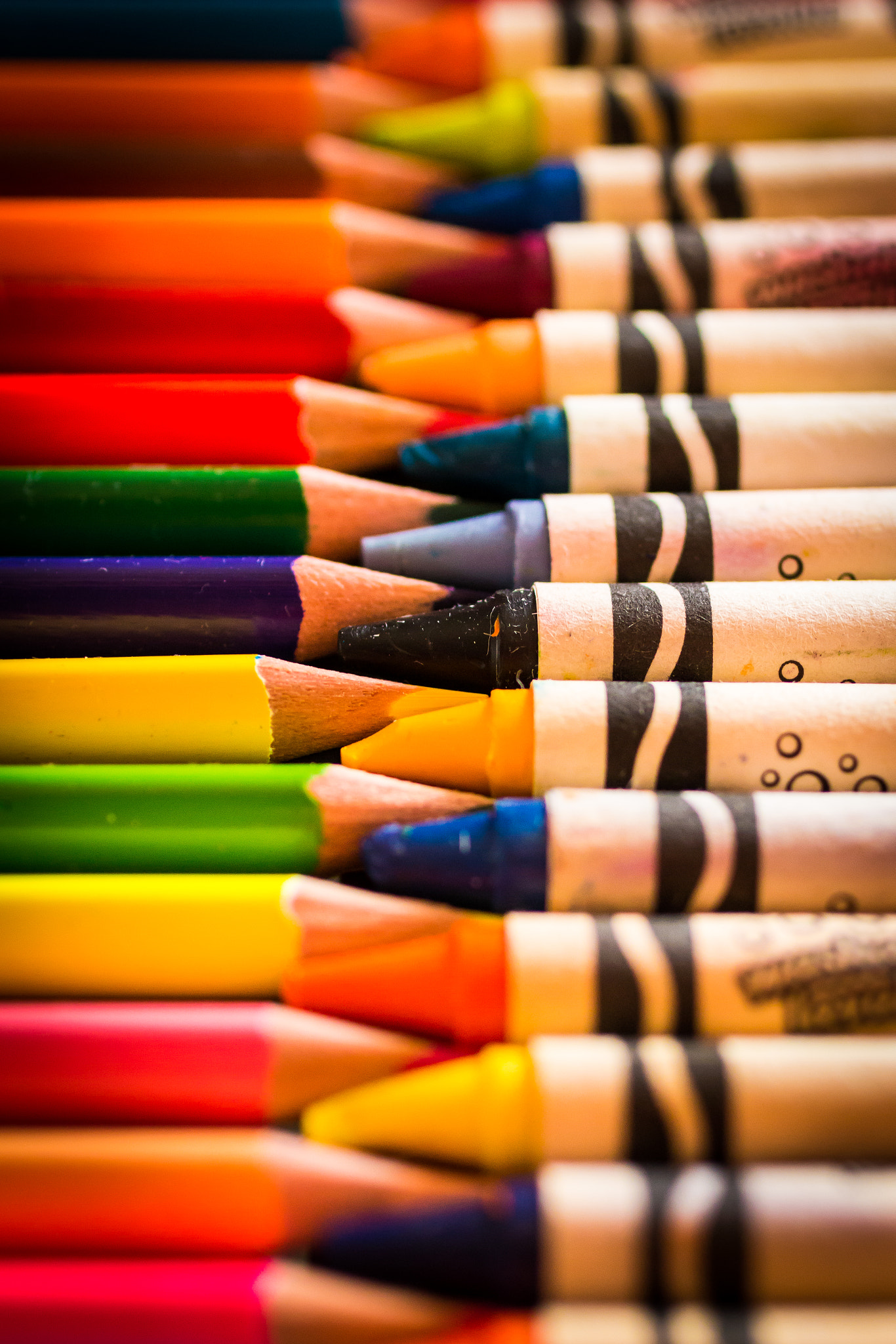 Canon EOS 70D + Canon EF 50mm F2.5 Macro sample photo. Colors of life photography