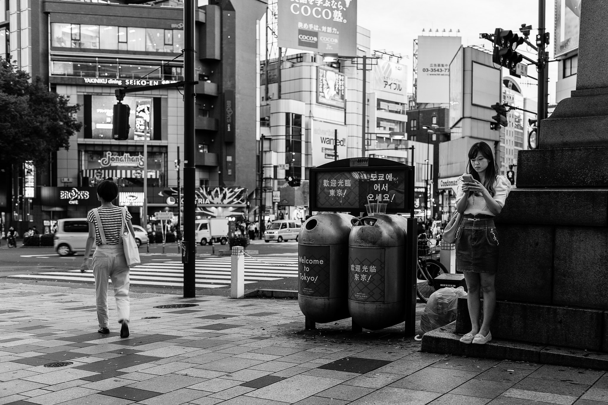 Nikon D3 + AF-S Nikkor 35mm f/1.8G sample photo. Japan photography