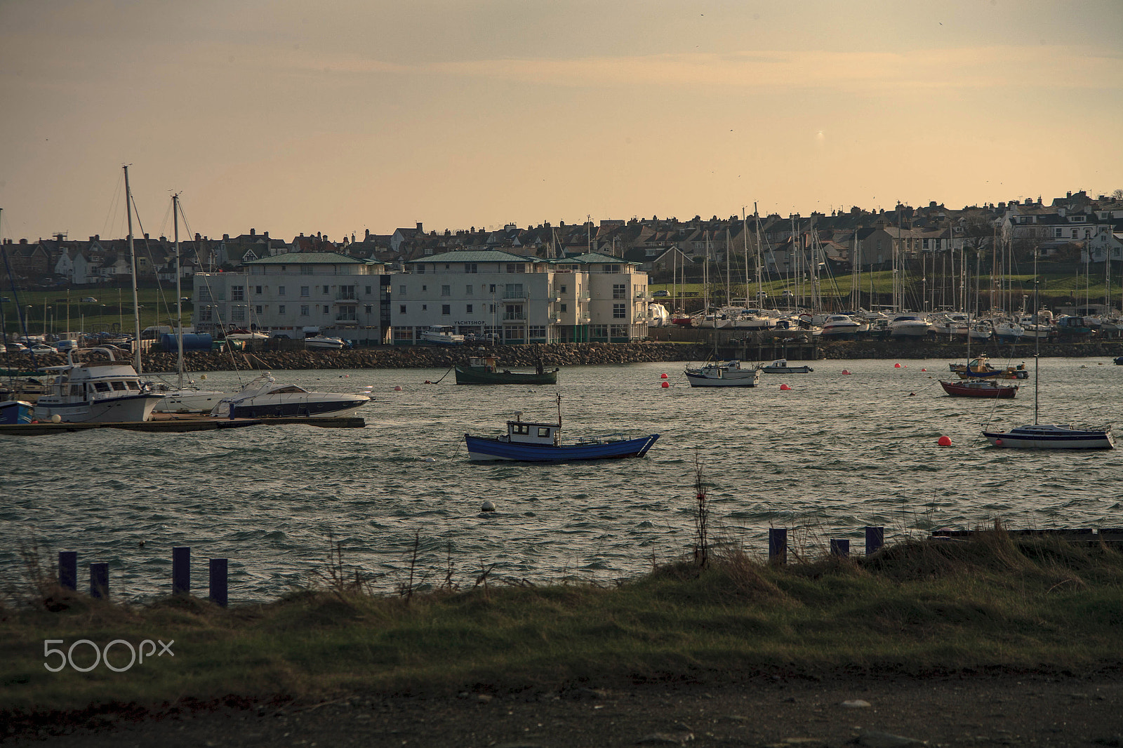 Canon EF 35-135mm f/4-5.6 USM sample photo. Marina photography