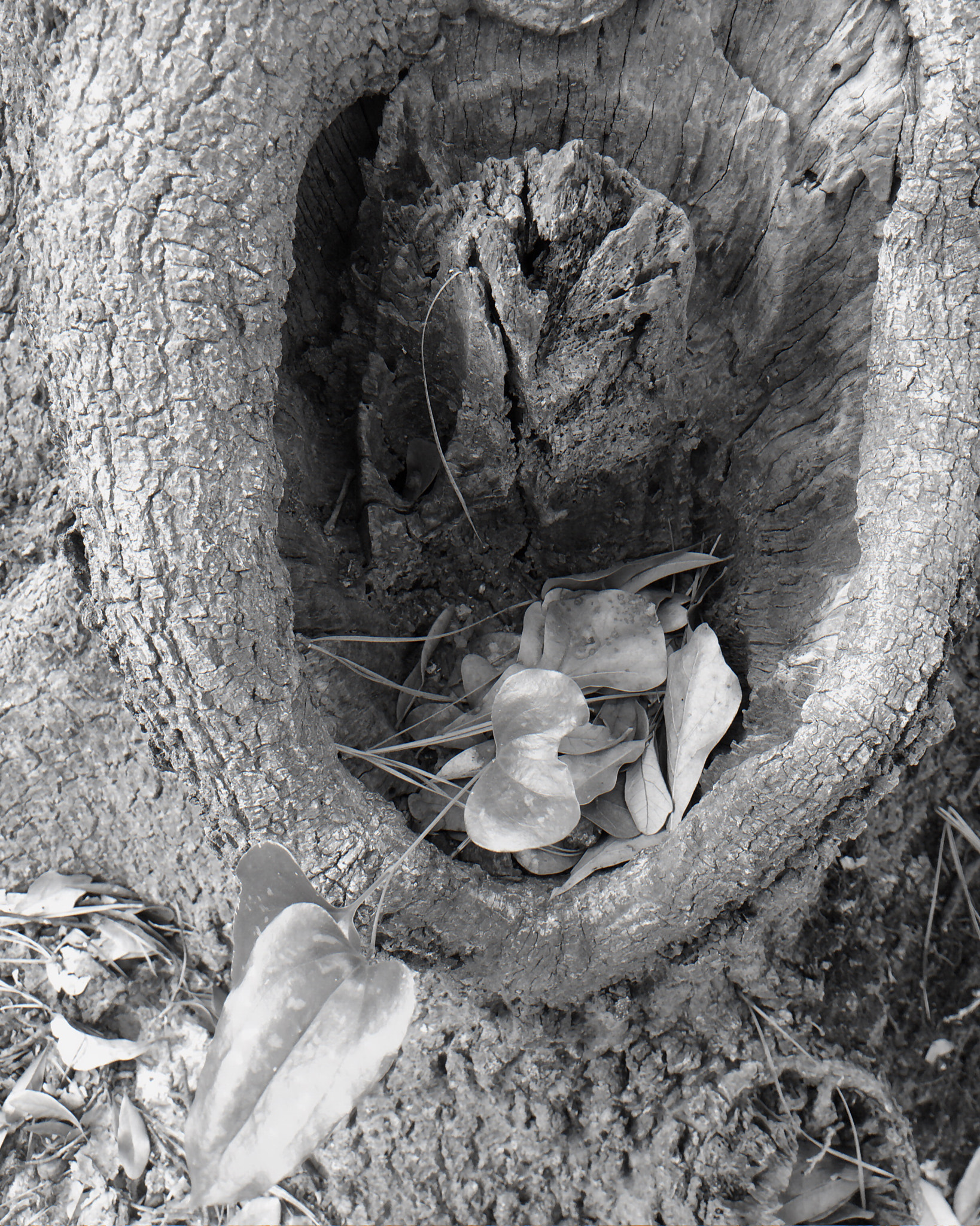 Curious Satellite Hueless on iPhone sample photo