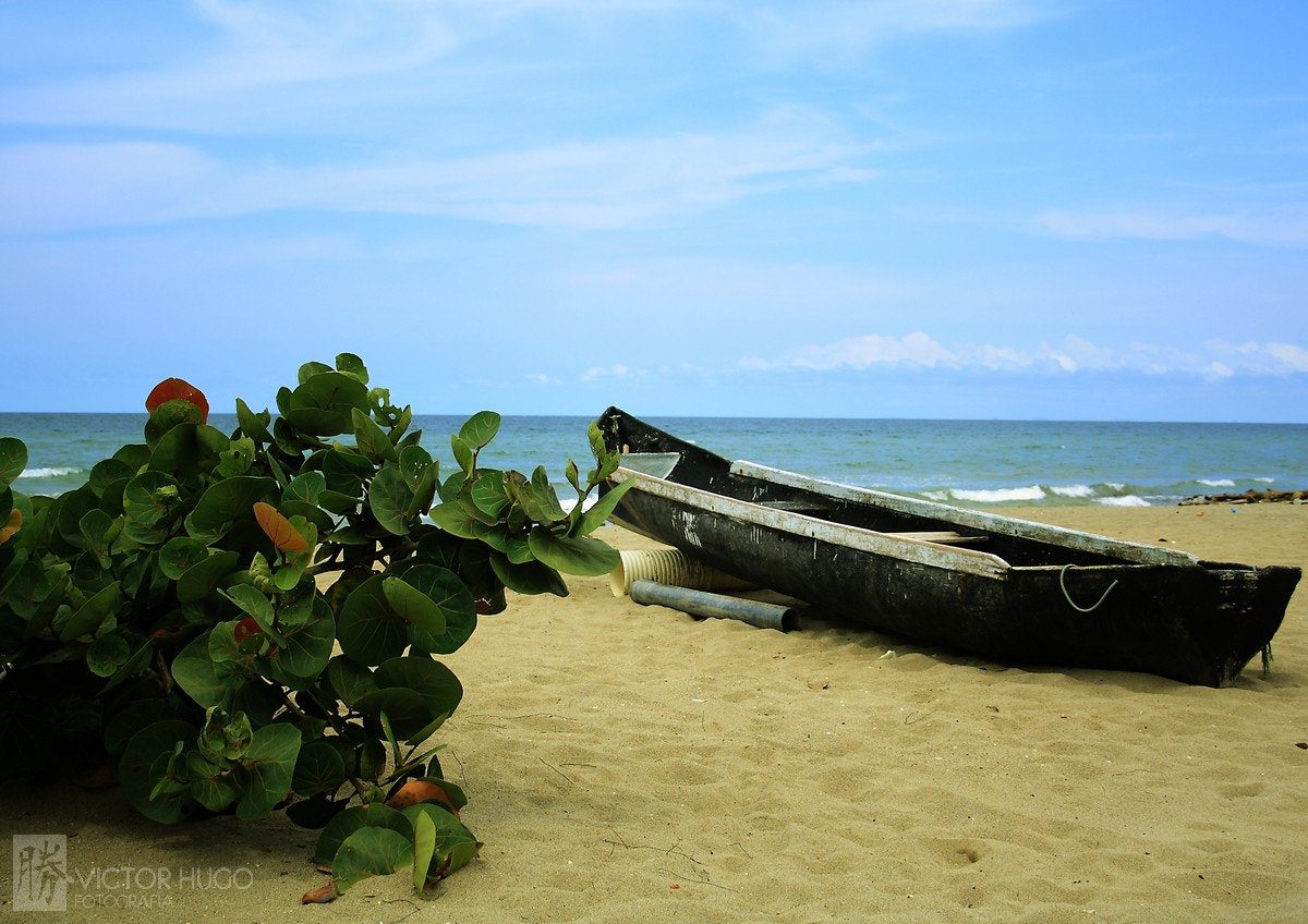 Canon EF-S 18-55mm F3.5-5.6 sample photo. Arena azul photography