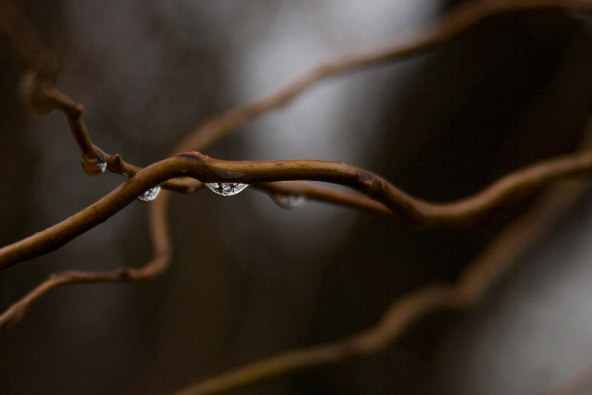 Canon EF 28-200mm F3.5-5.6 USM sample photo. Water droplets 2 photography