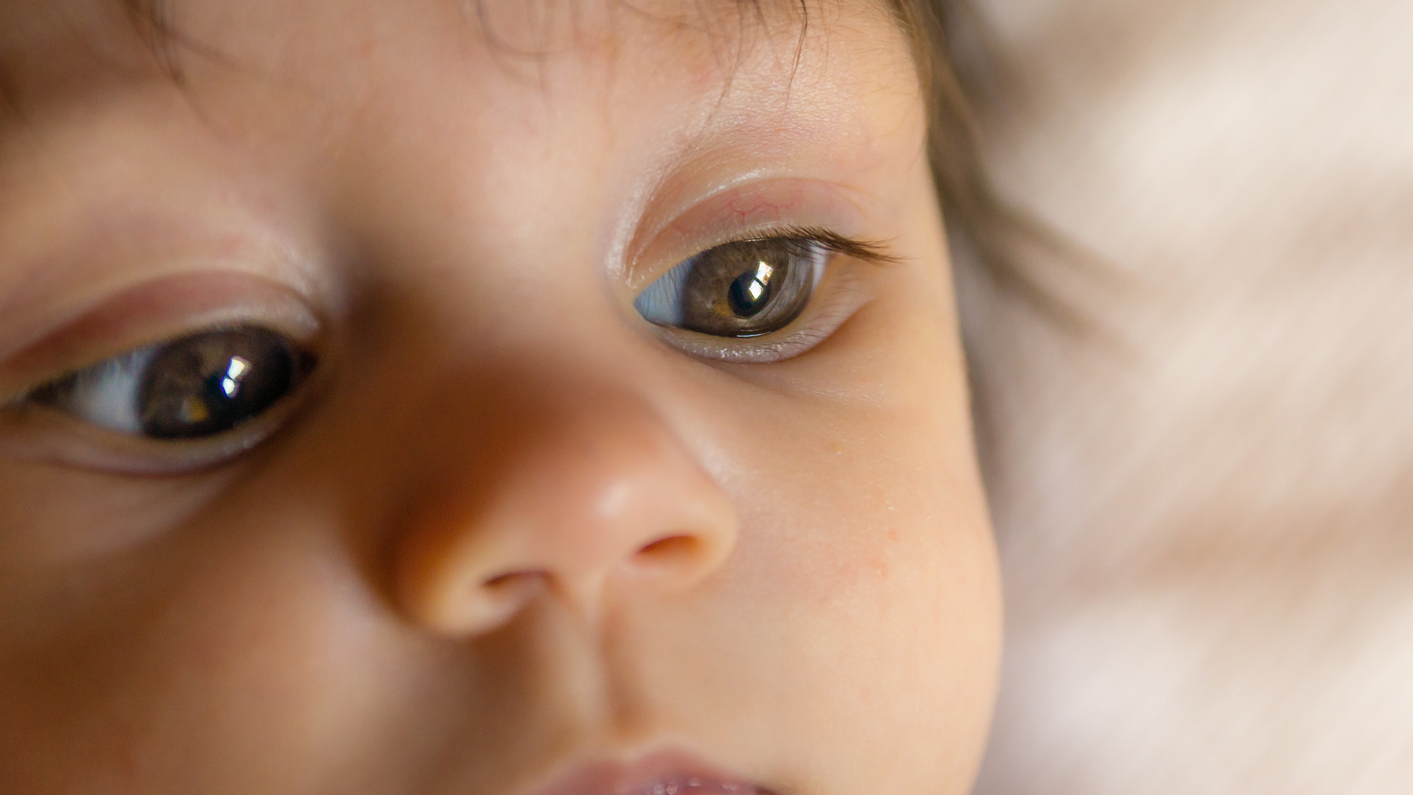 Sigma 17-70mm F2.8-4 DC Macro HSM sample photo. Mirada photography