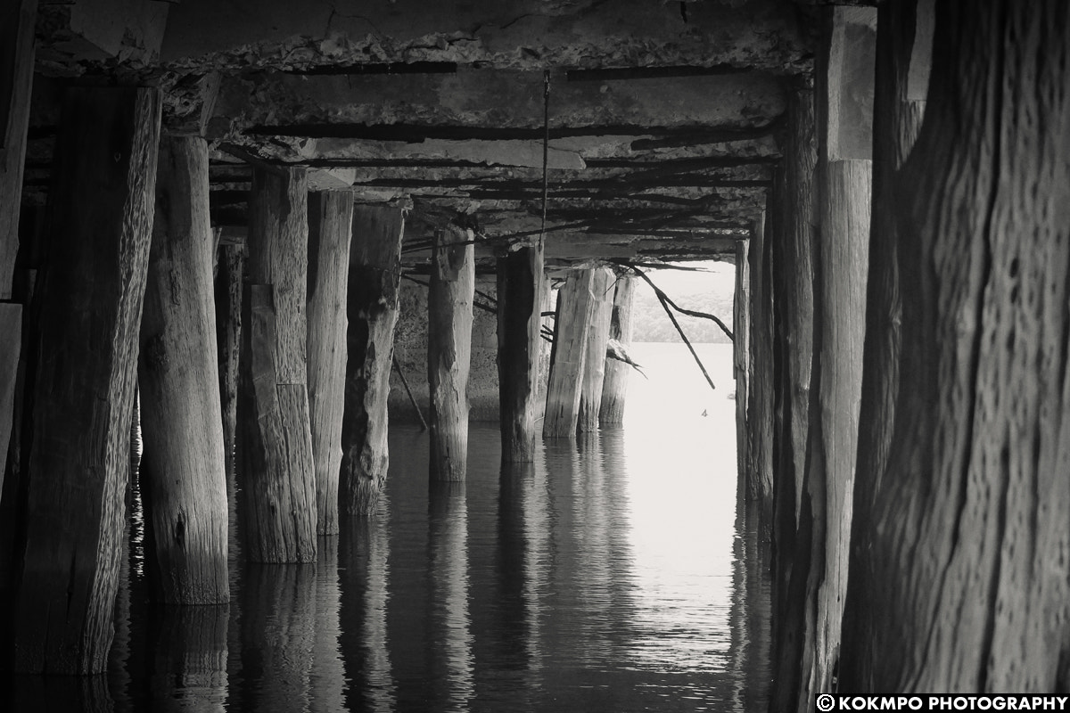 Canon EF-S 55-250mm F4-5.6 IS sample photo. Bajo los muelles photography