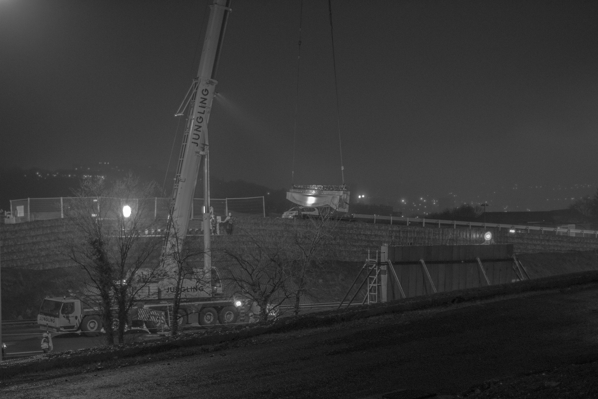 Canon EOS 100D (EOS Rebel SL1 / EOS Kiss X7) + Canon EF 50mm F1.4 USM sample photo. Bw crane photography