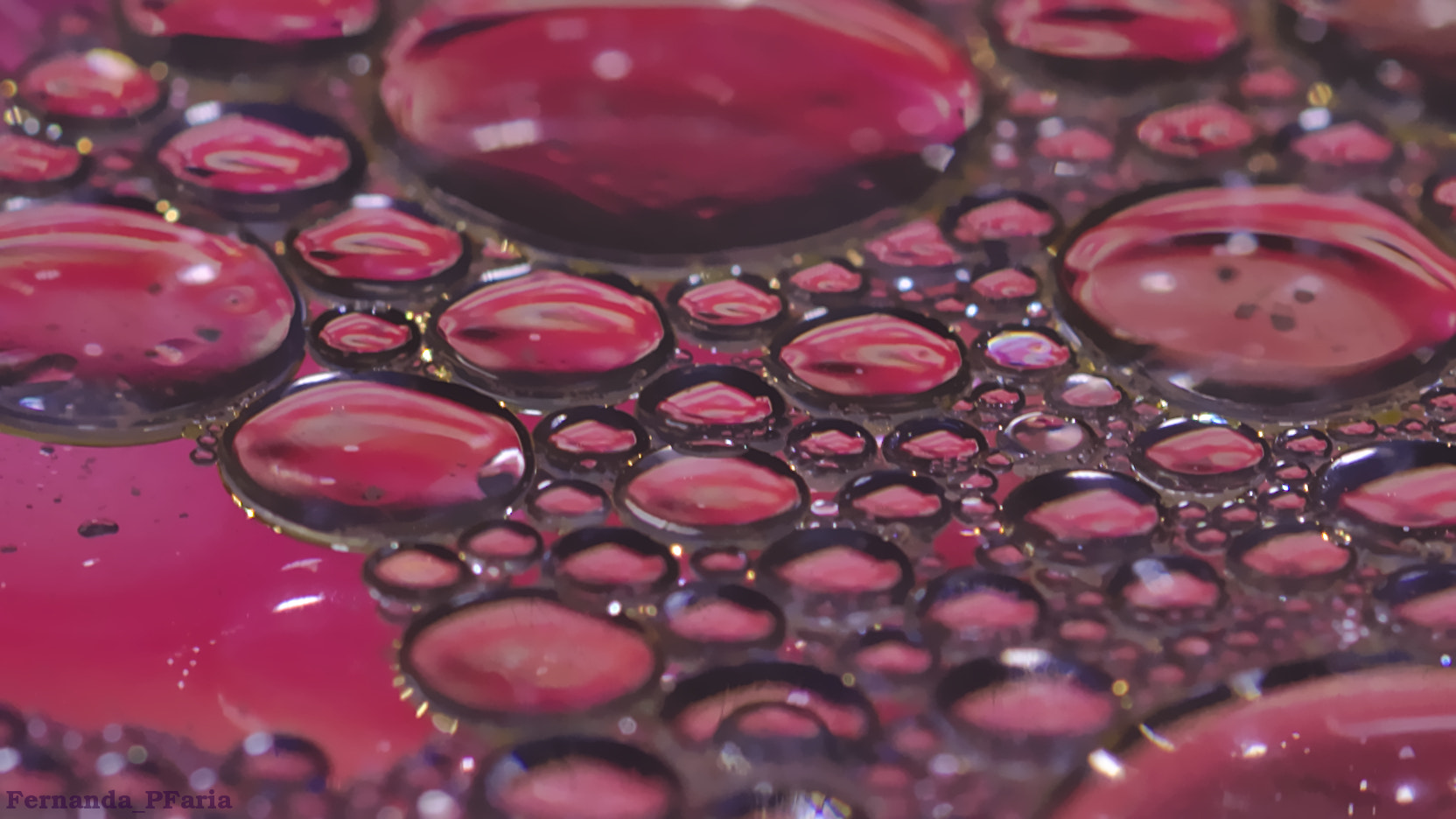 Canon EF 100mm F2.8L Macro IS USM sample photo. Pink bubbles photography