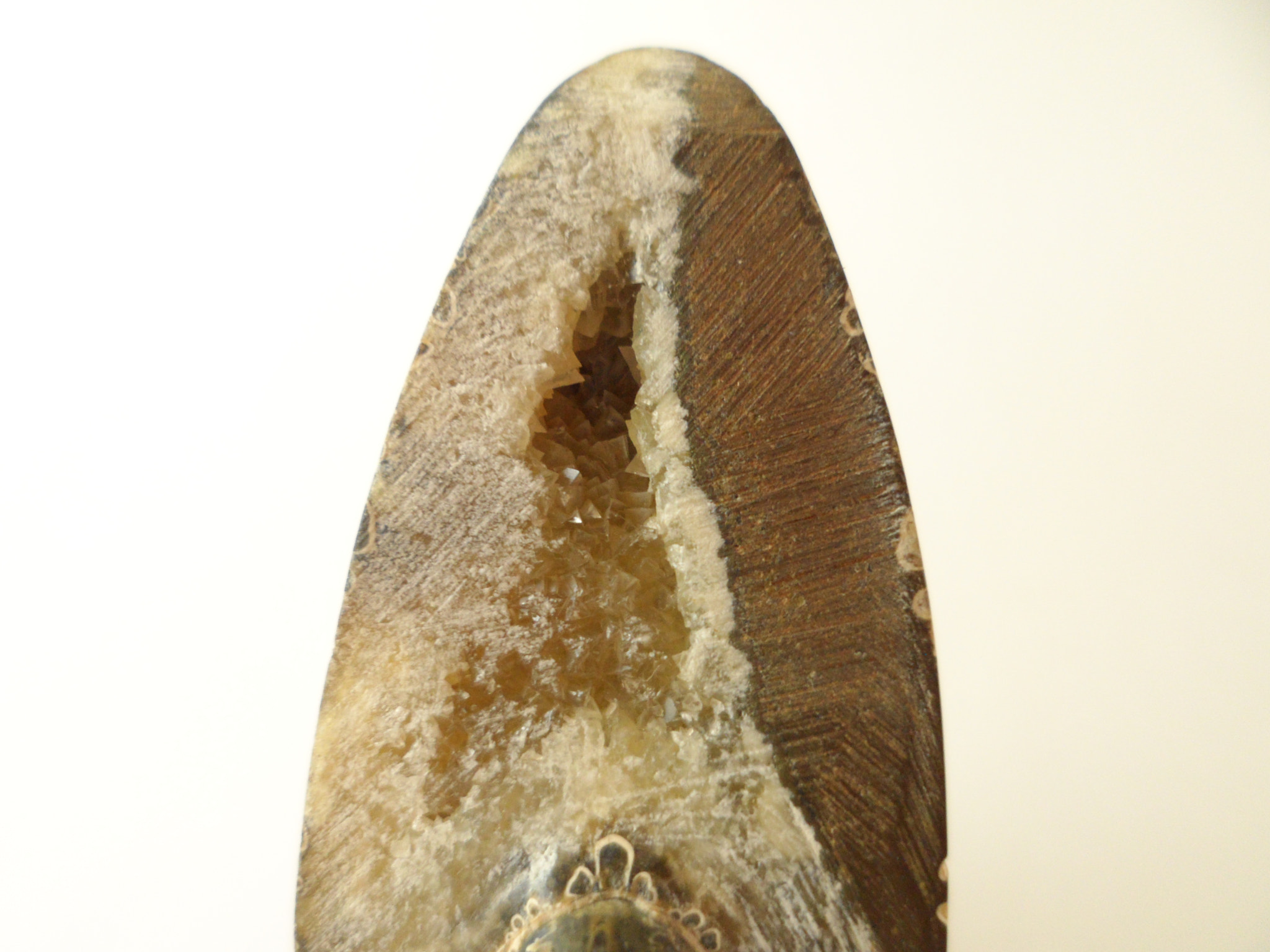 Samsung PL170,PL171 / VLUUPL170,PL171 sample photo. Sam_1329.jpg photography