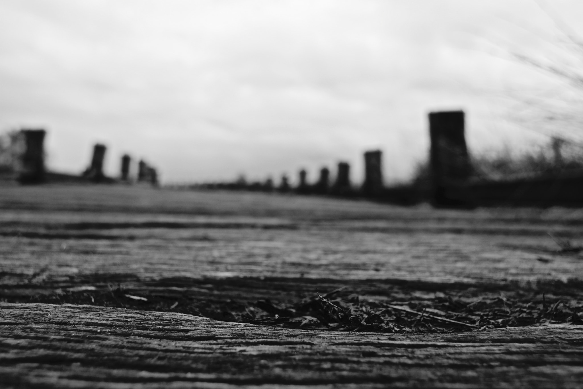 Canon EOS 750D (EOS Rebel T6i / EOS Kiss X8i) sample photo. Black&amp;white photography