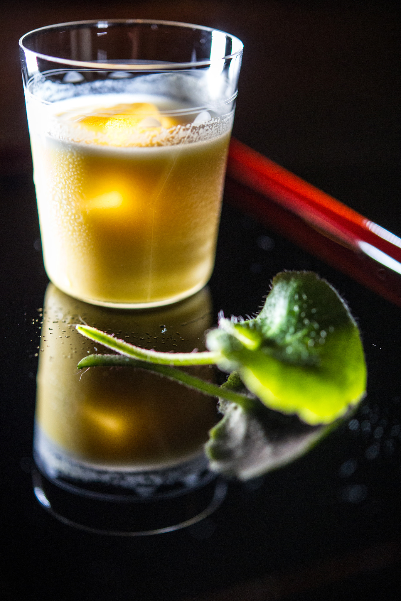 Nikon AF-S Micro-Nikkor 60mm F2.8G ED sample photo. Tokyo photography