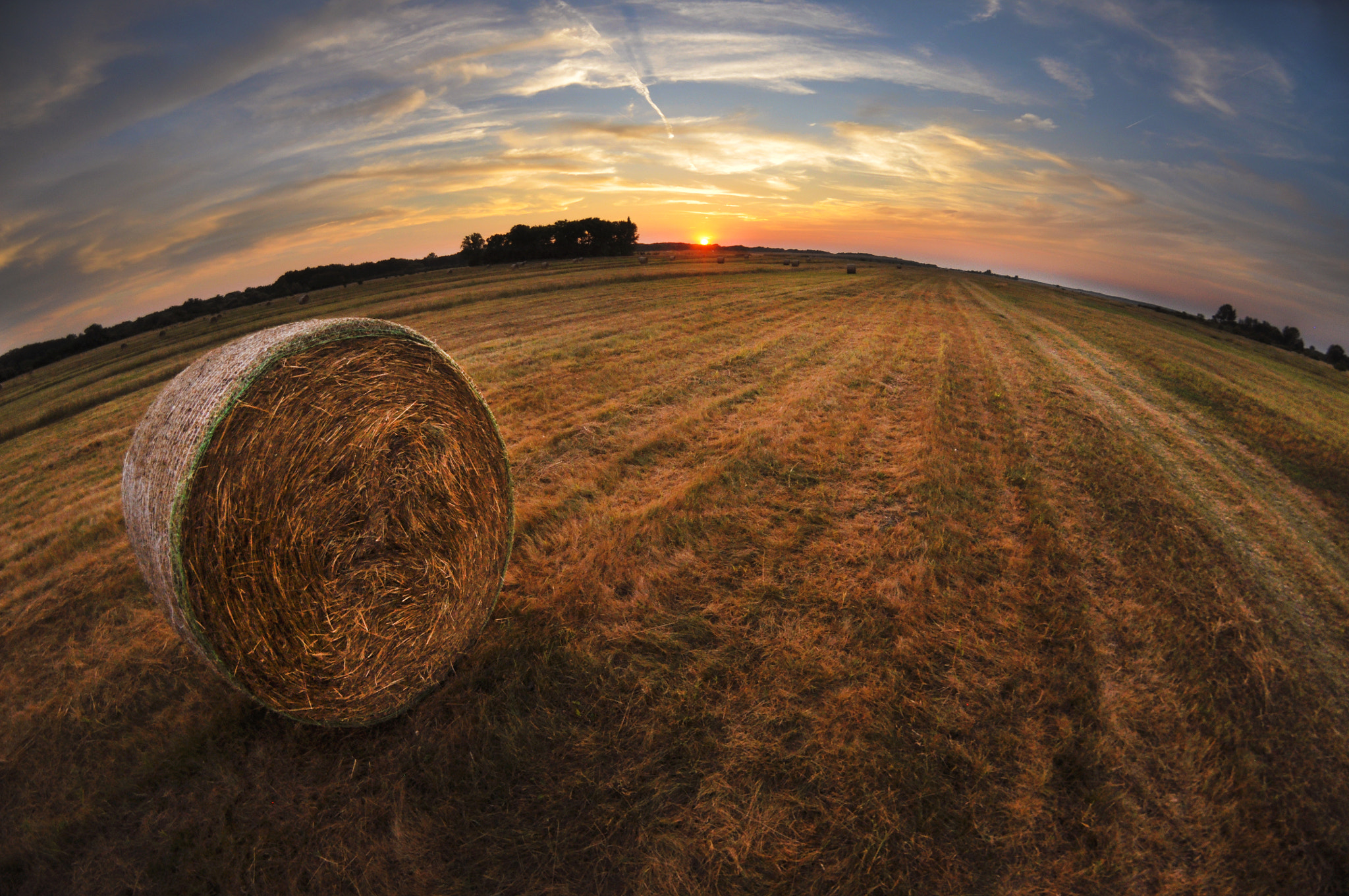 Nikon D90 + Samyang 8mm F3.5 Aspherical IF MC Fisheye sample photo. Untitled photography